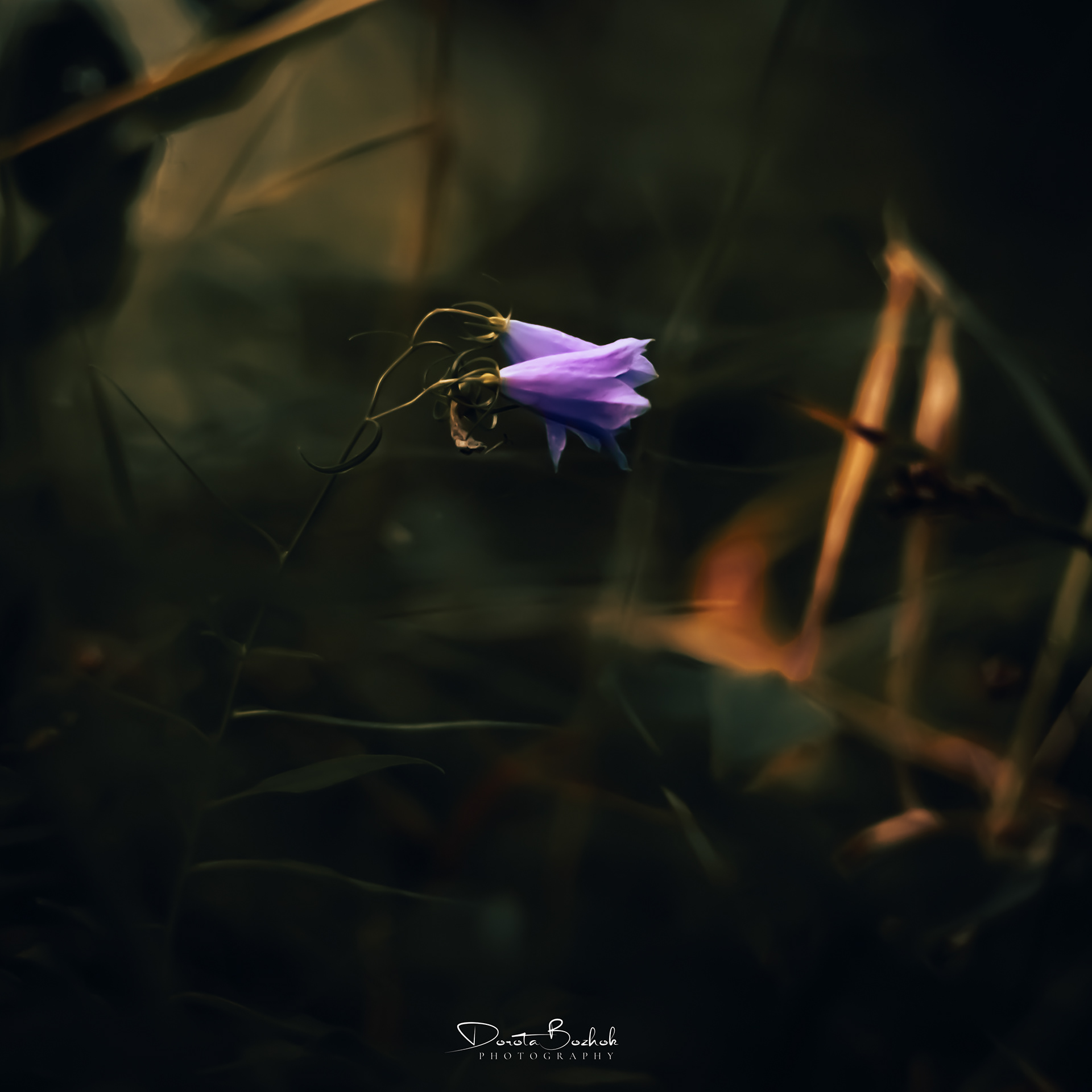 213/365