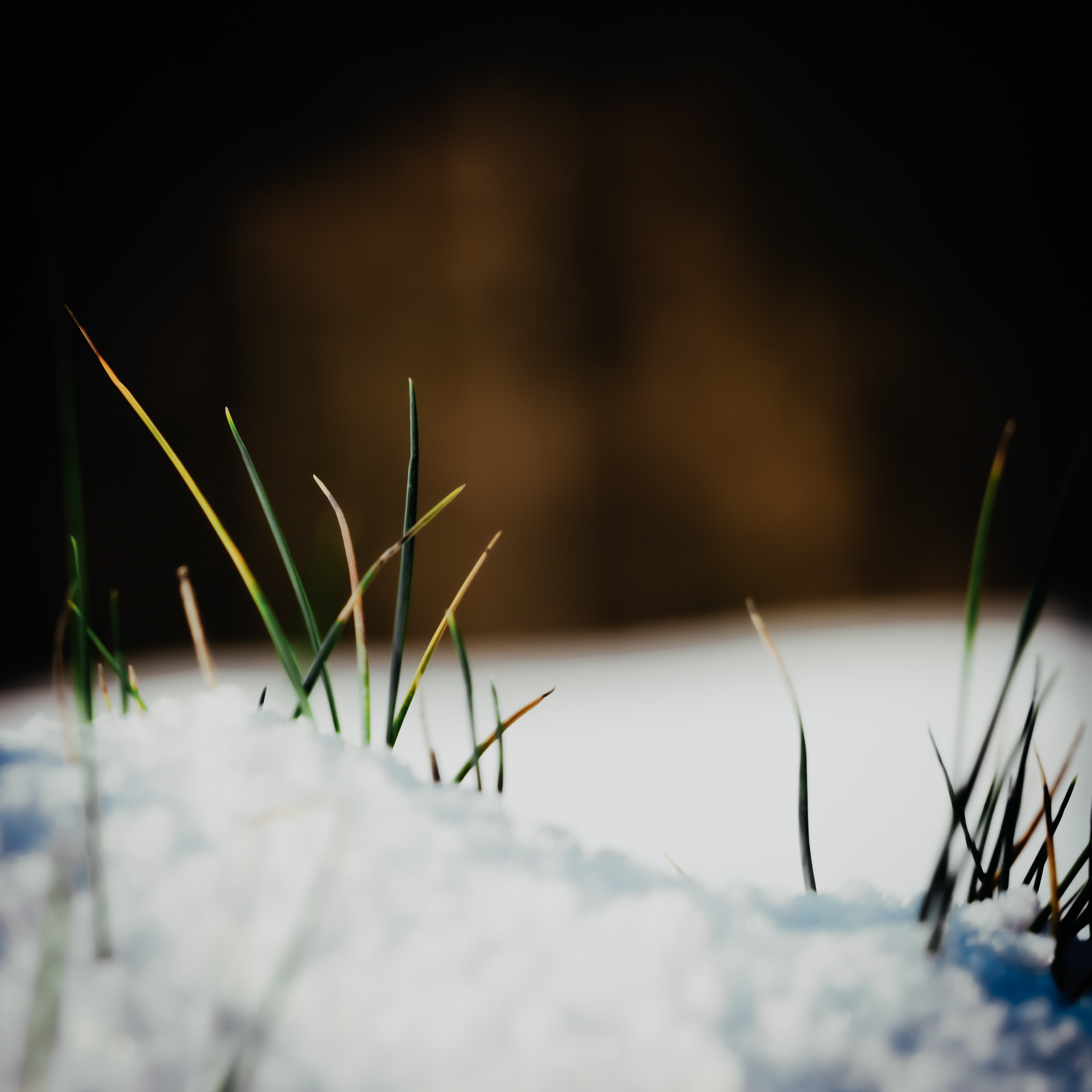 36/365