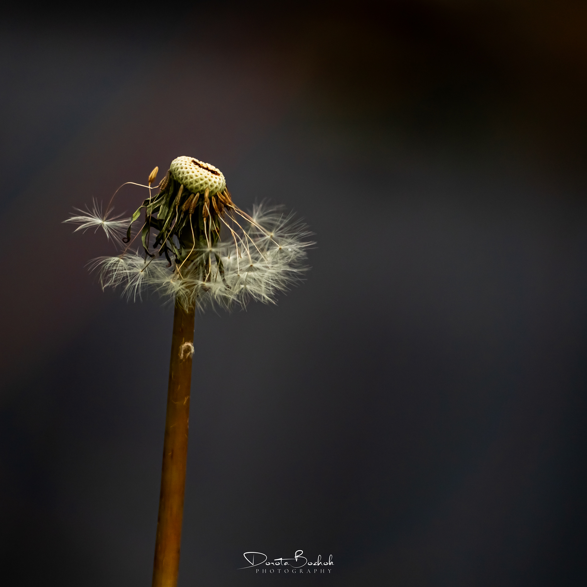 158/365