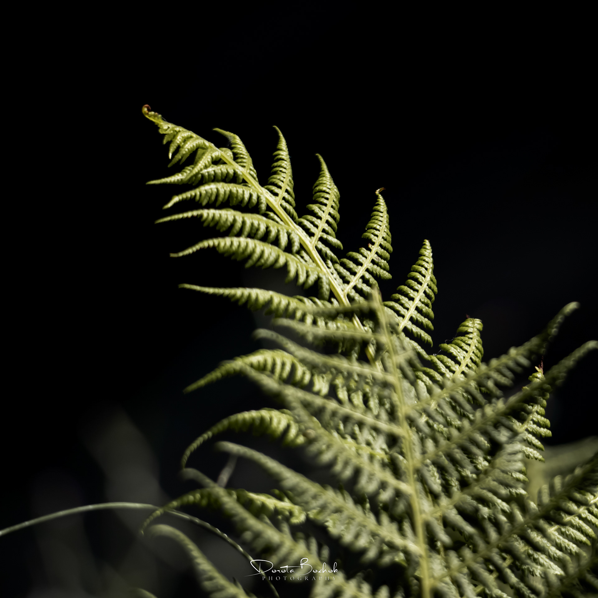 193/365