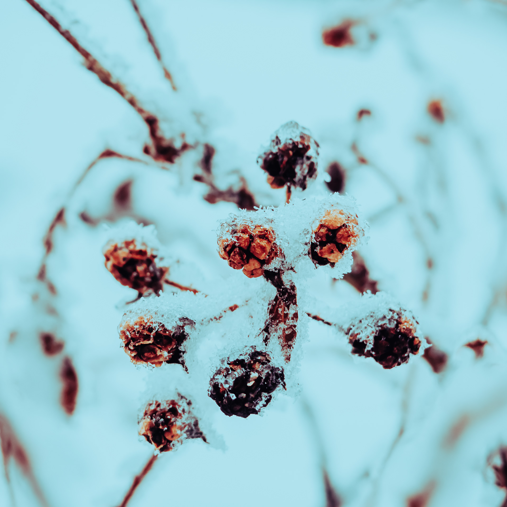 22/365
