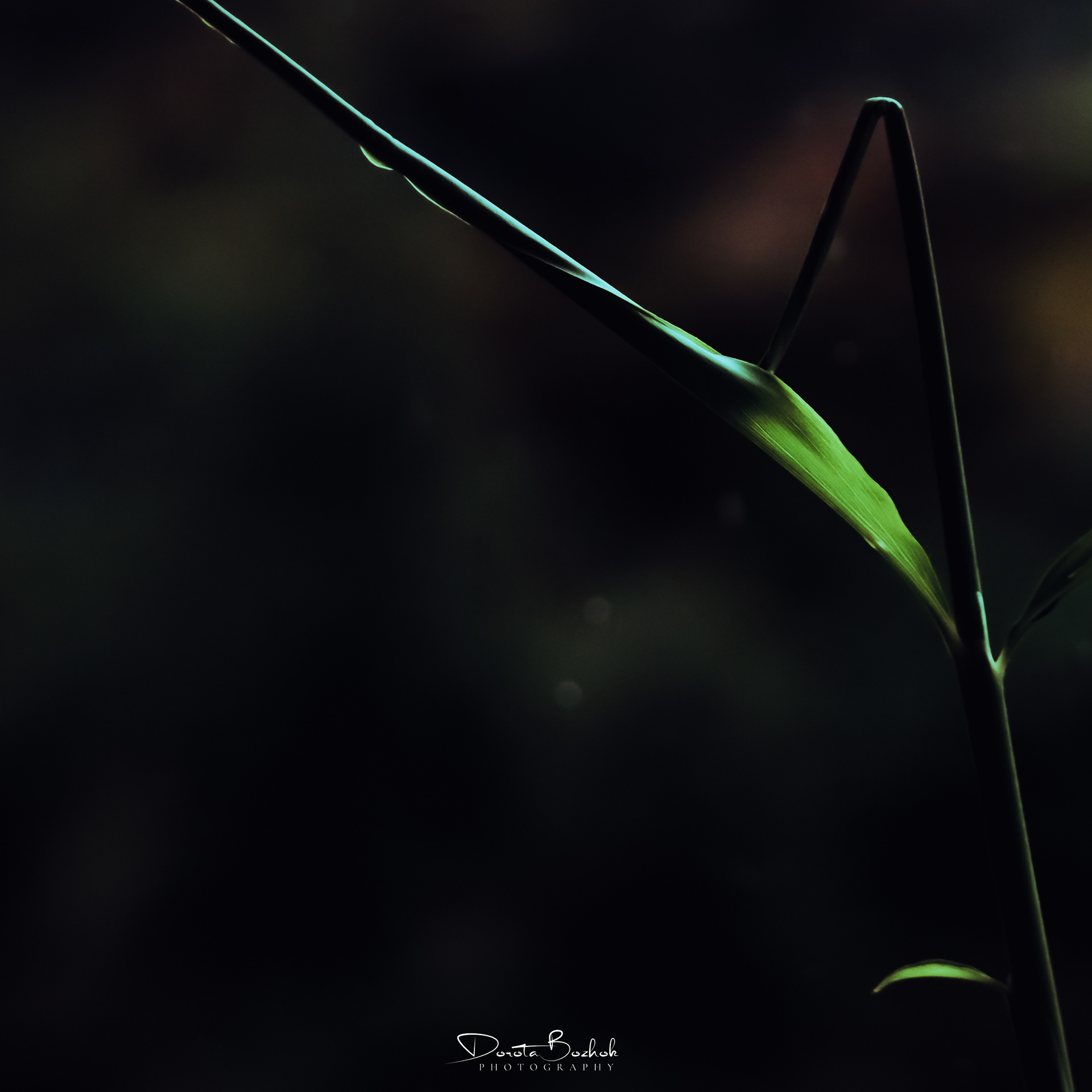 104/365