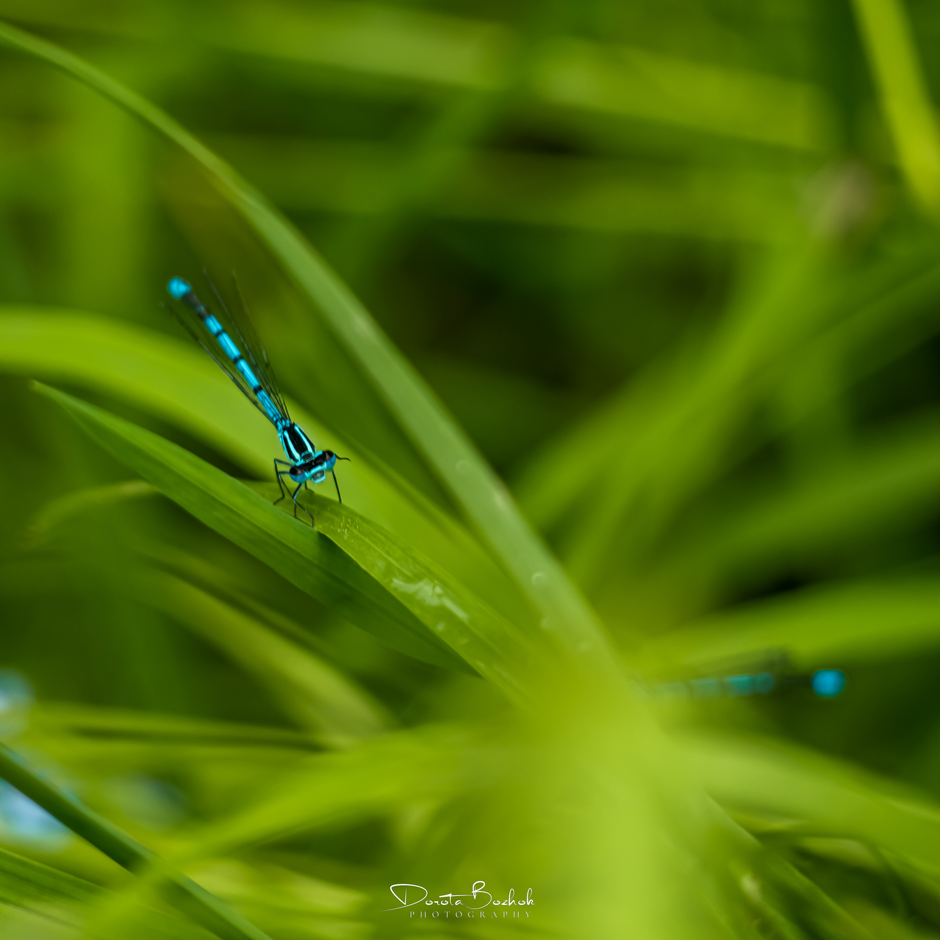 168/365