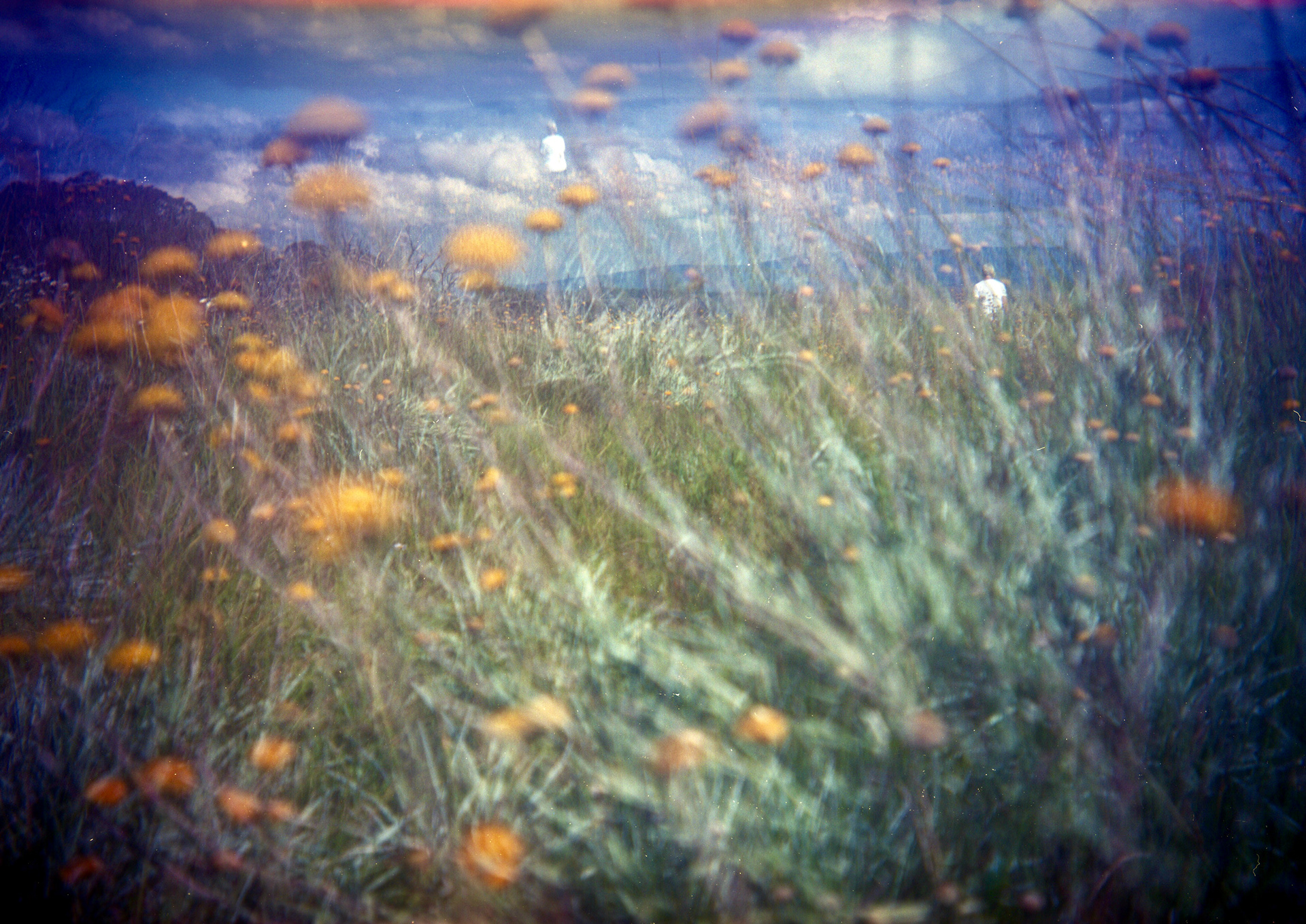 Model C Box Brownie film image