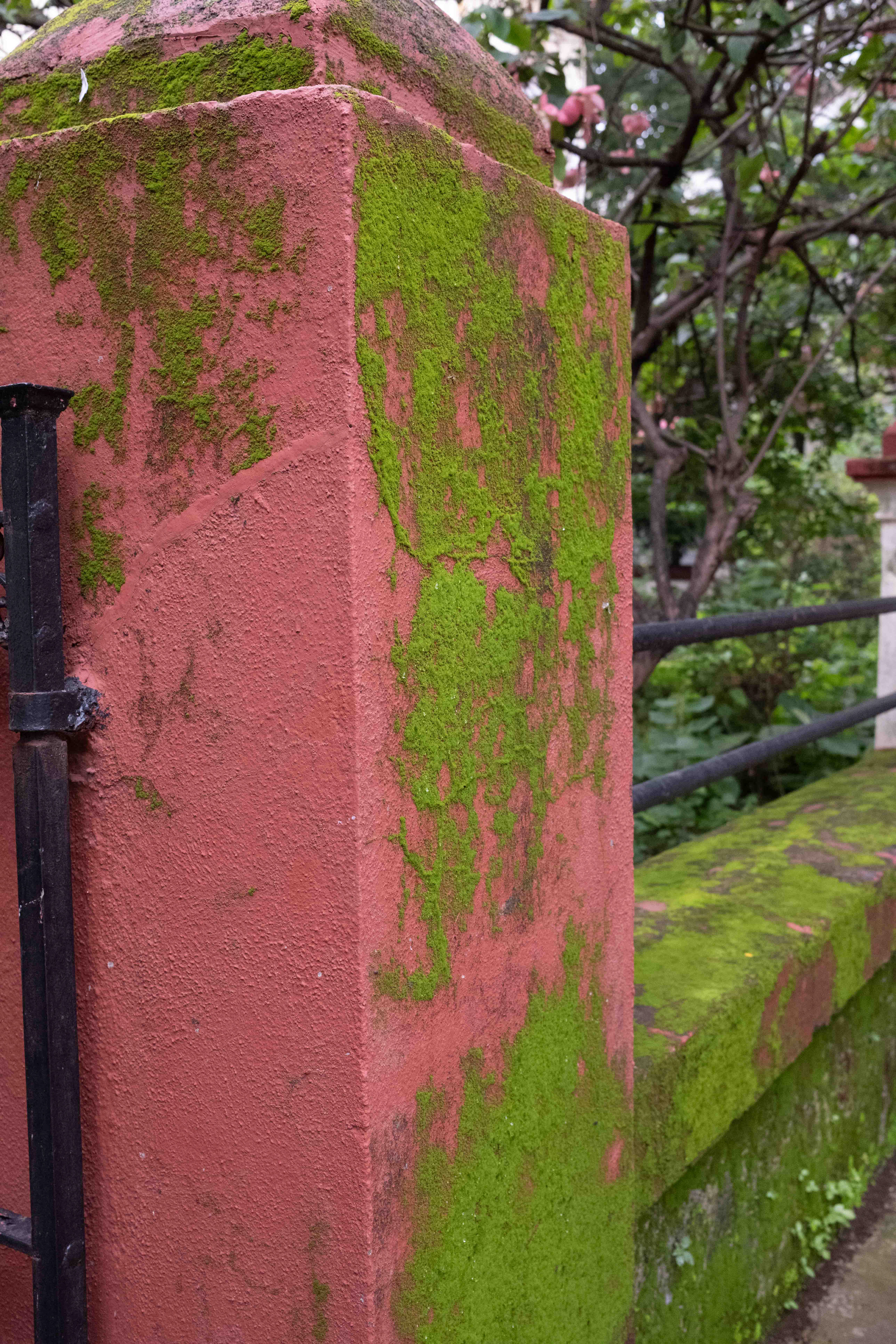 Parsi Colony (Dadar), 2026.