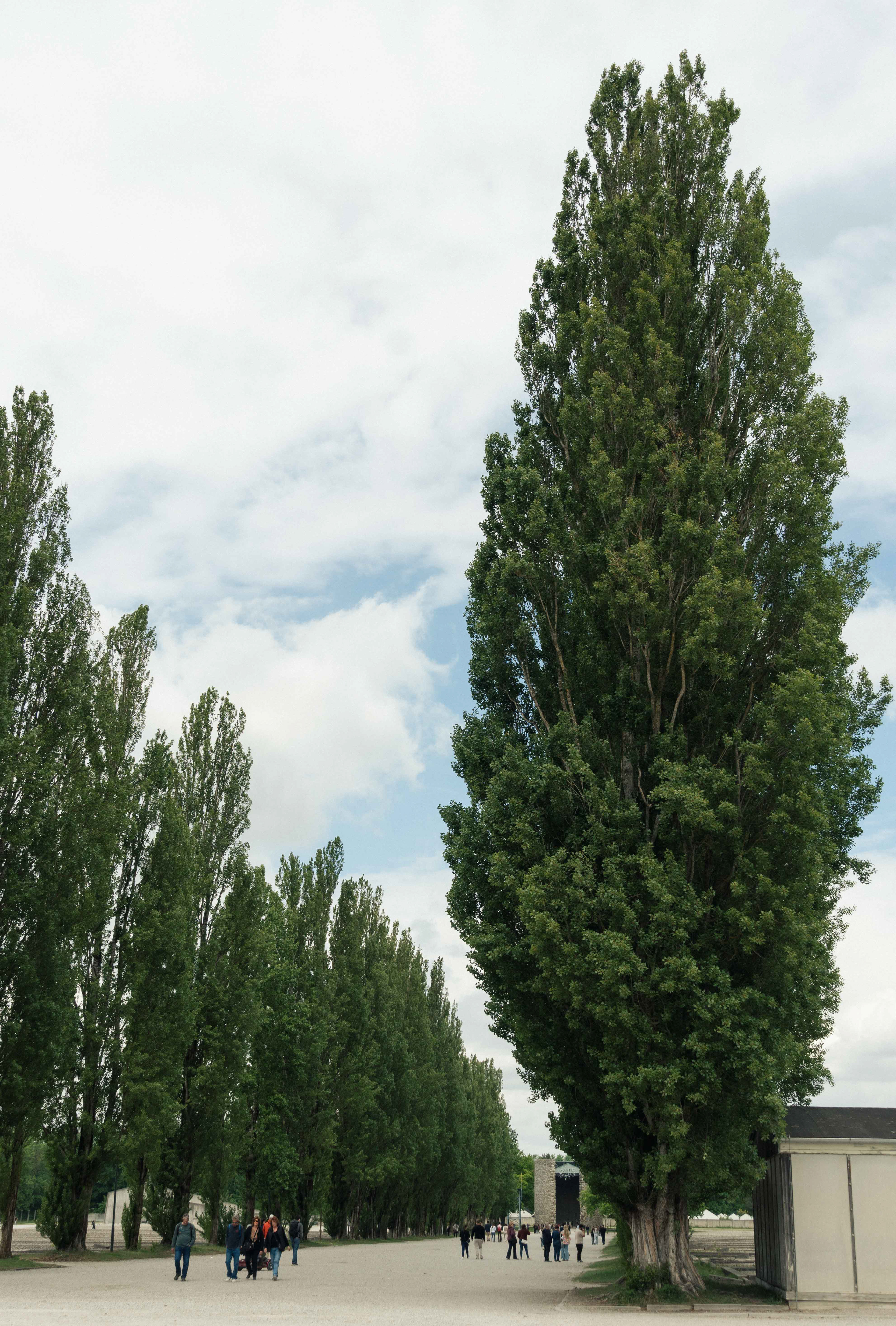 Dachau (Germany), 2025.