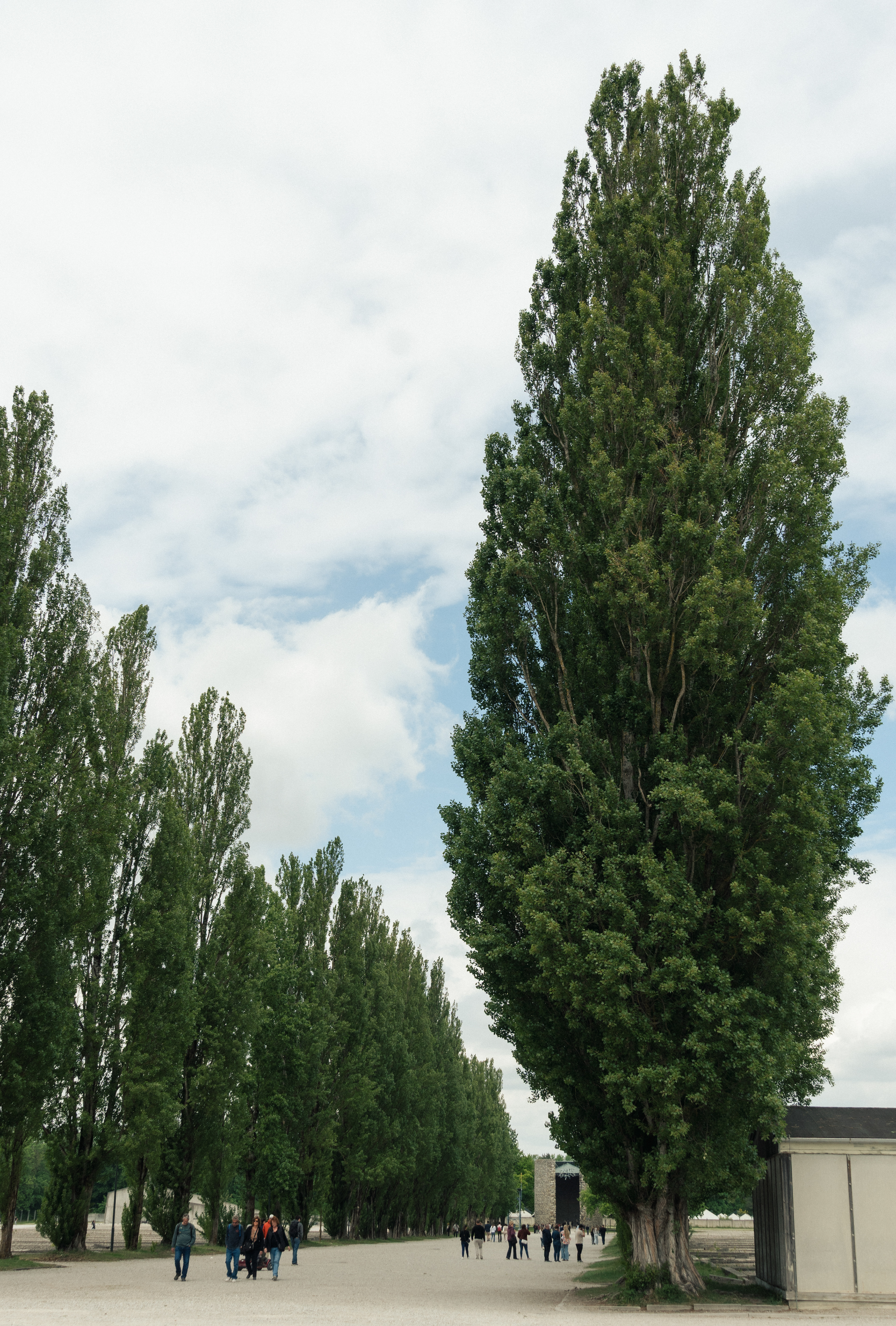 Dachau (Germany), 2025.