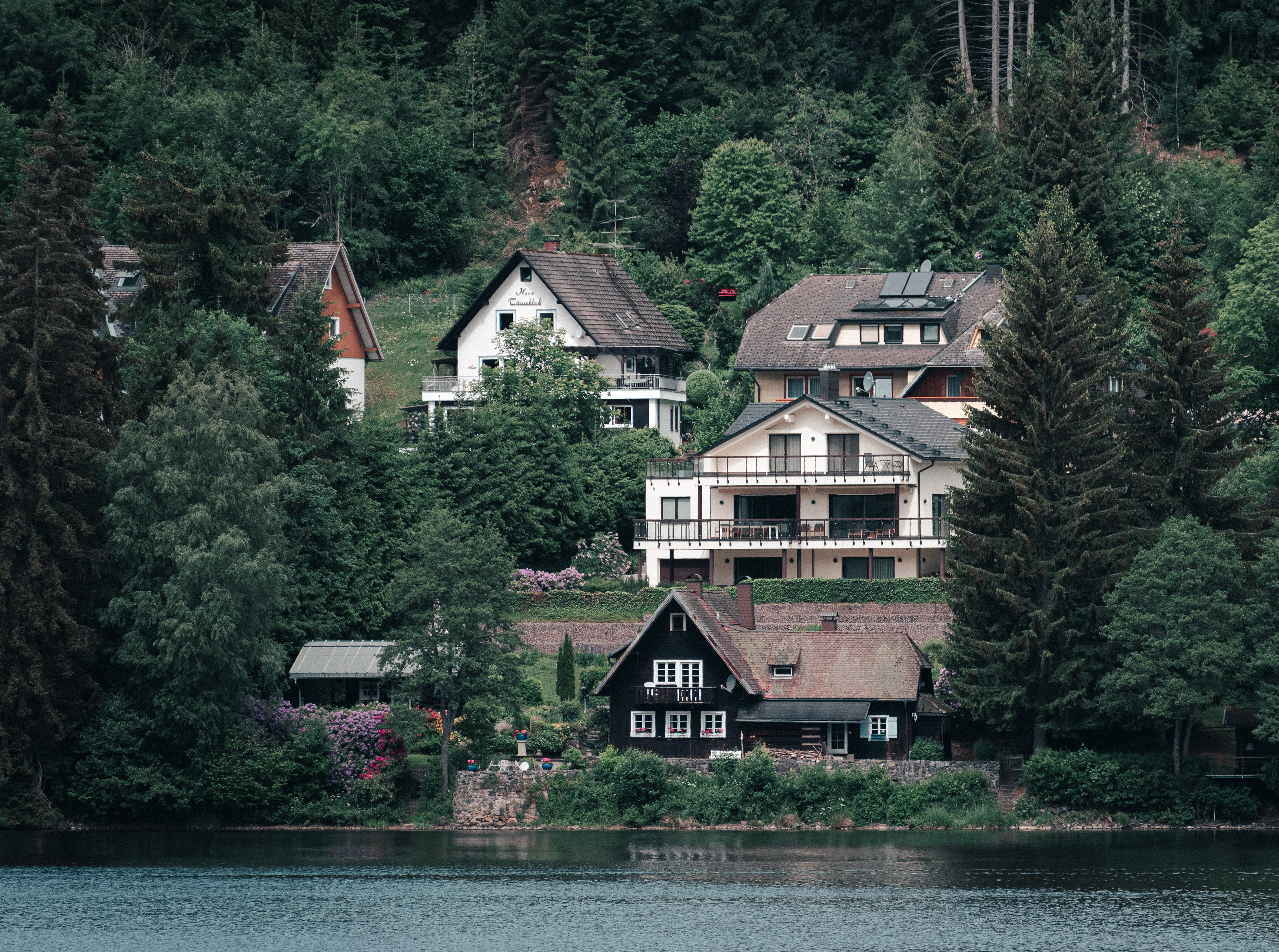 Lake Titisee, Black Forest (Germany), 2026.