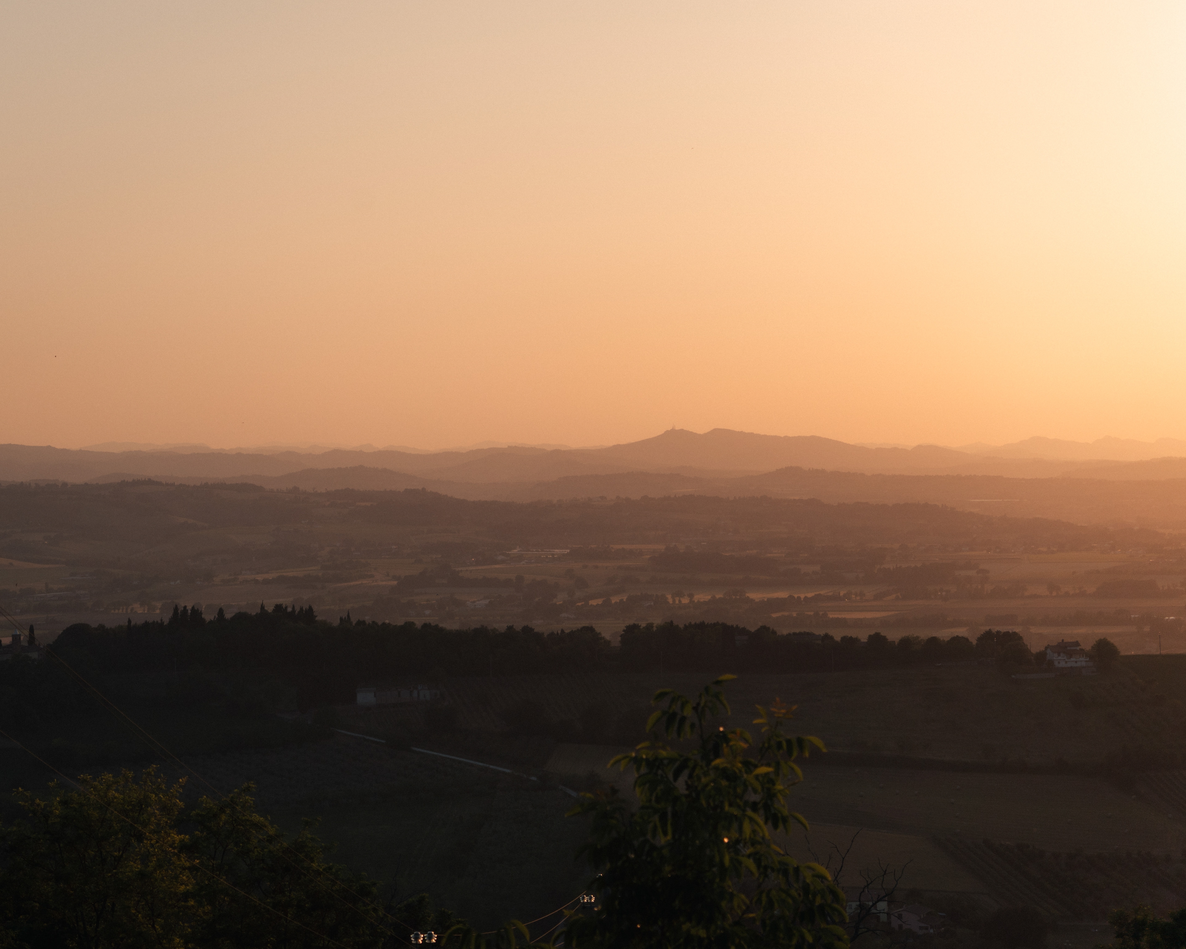 Bertinoro (Italy), 2026.