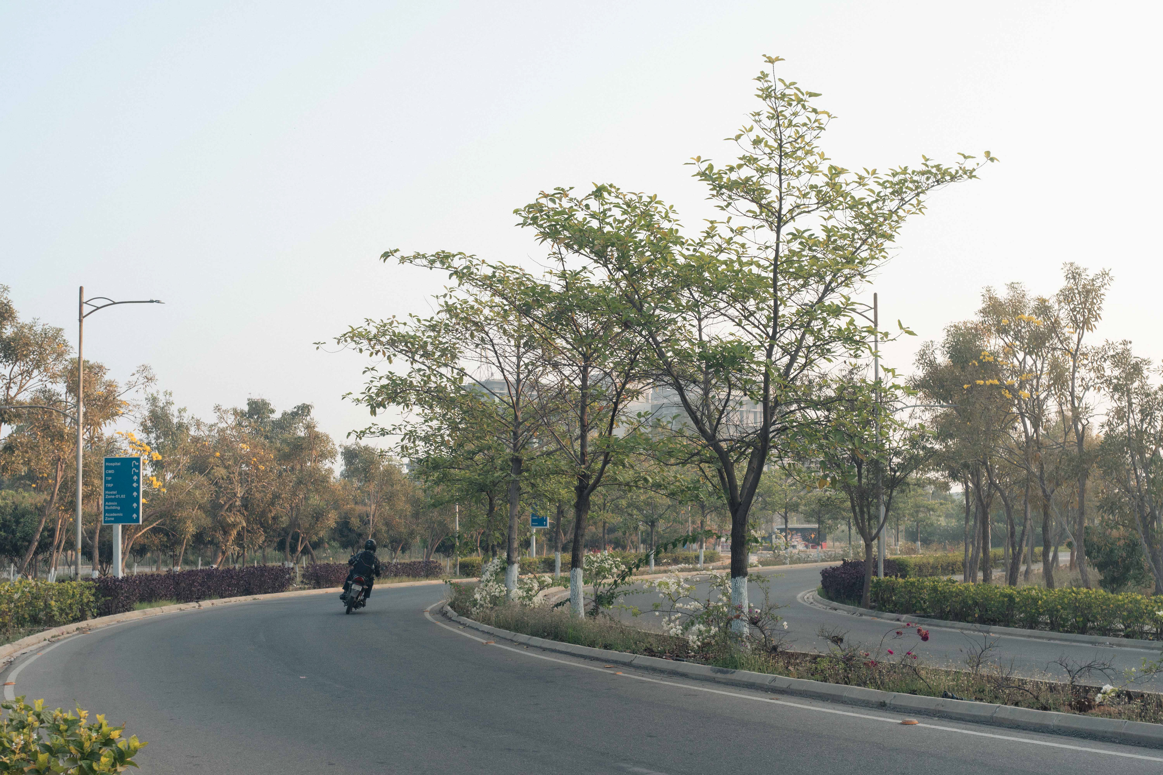 IIT Hyderabad, 2026.