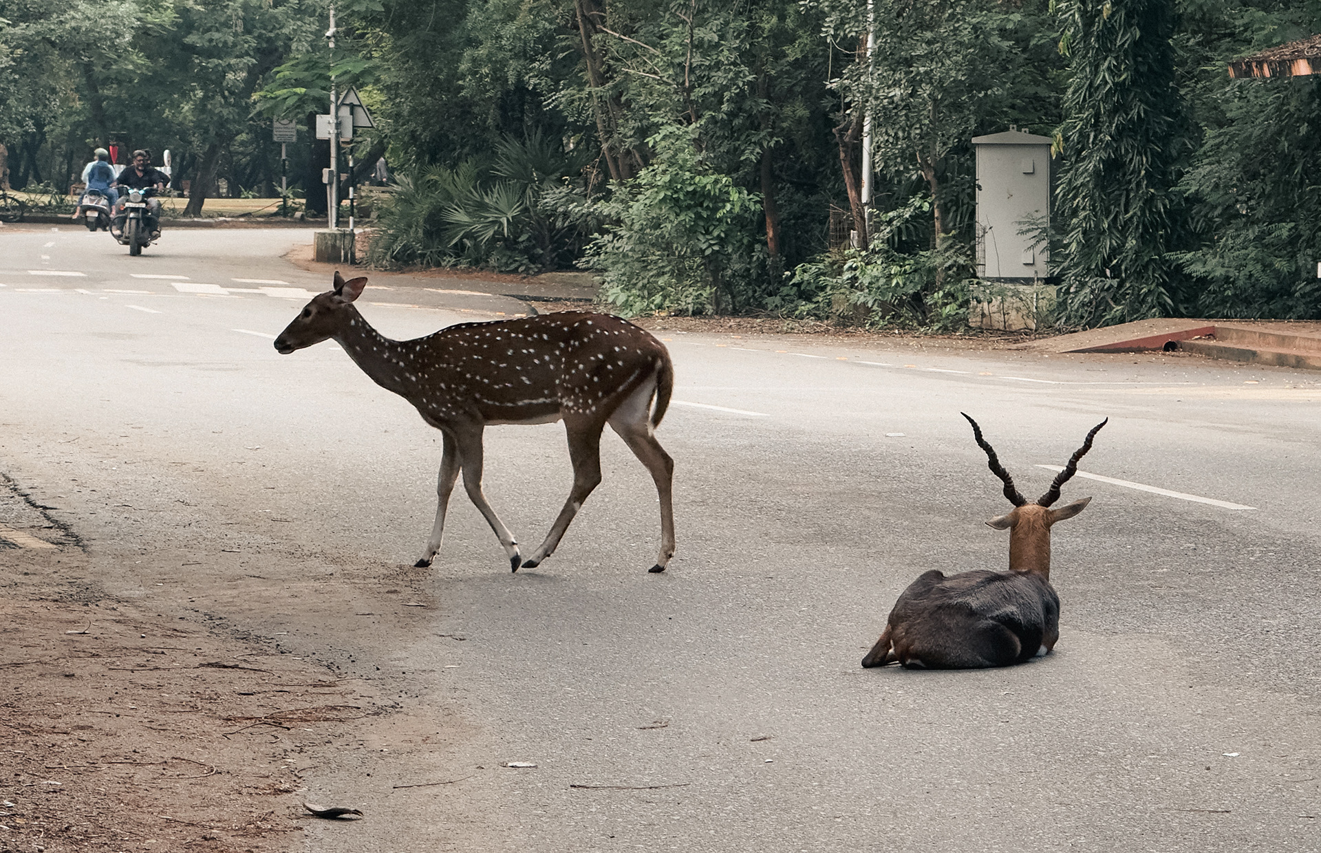 IIT Madras, 2025.