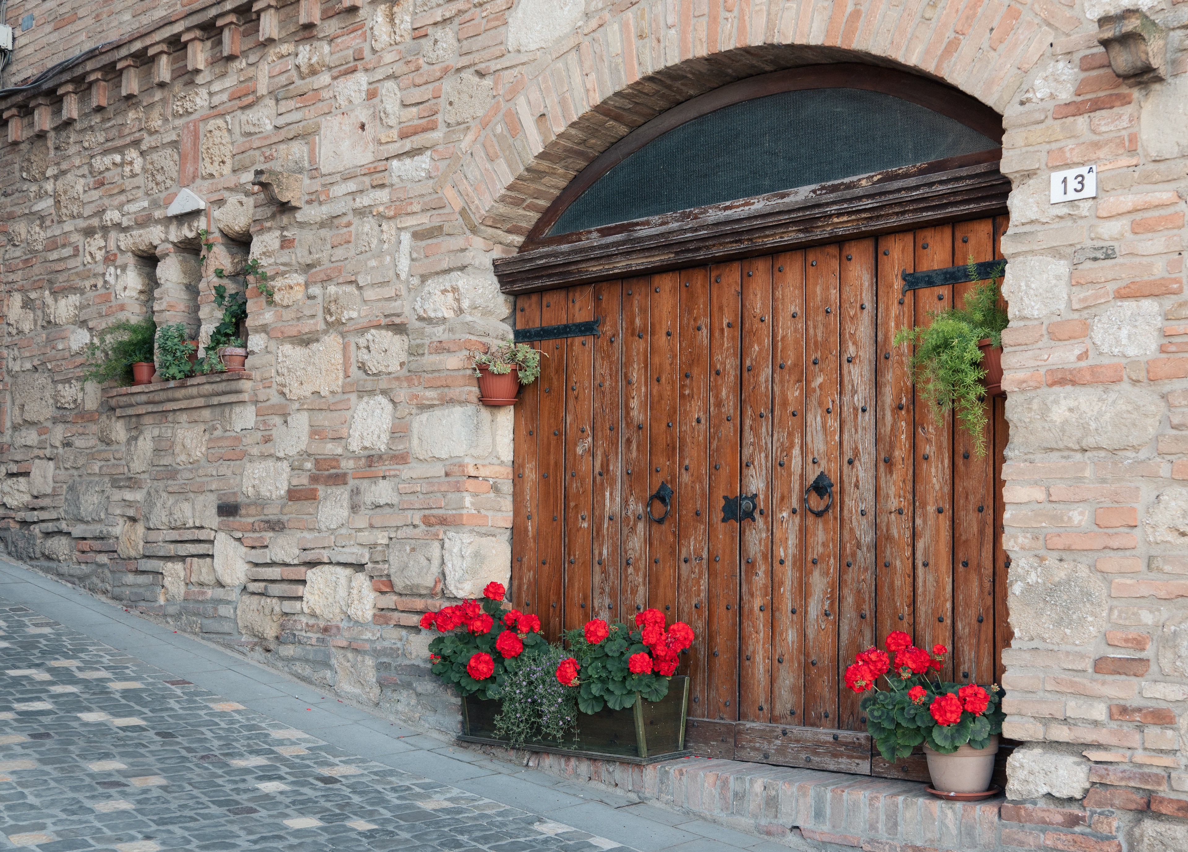 Bertinoro (Italy), 2026.