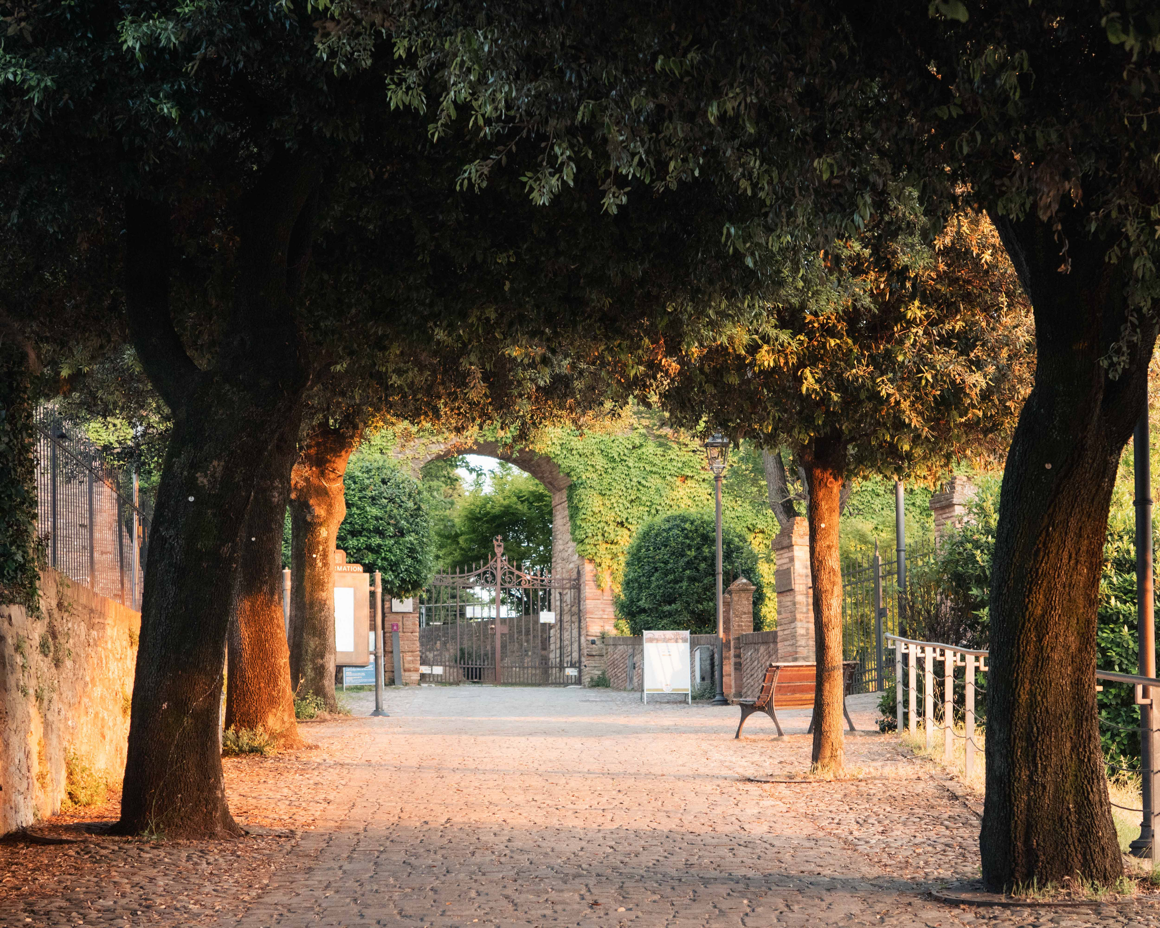 Bertinoro (Italy), 2026.