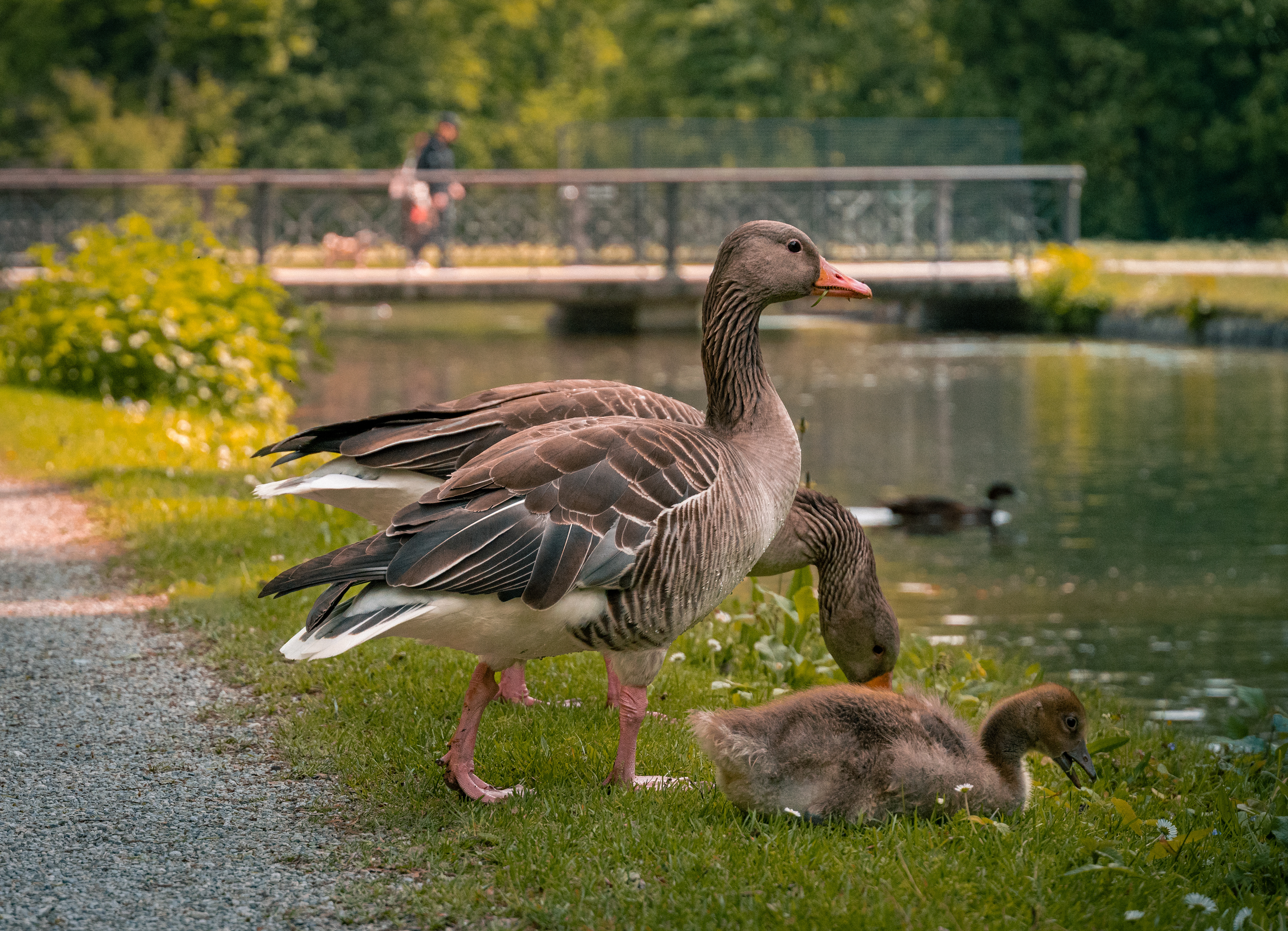 Nymphenburg Palace Park, Munich (Germany), 2025.