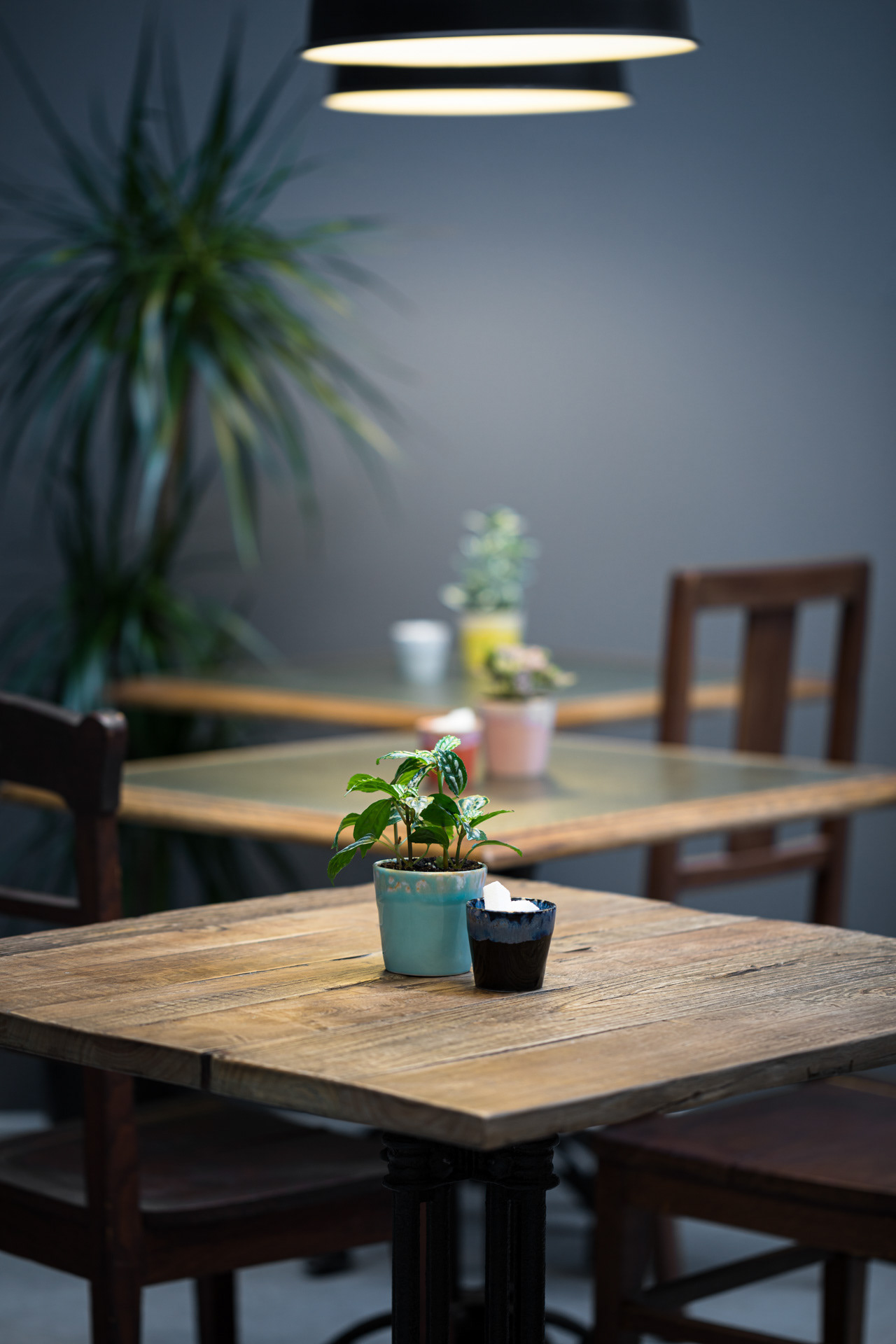 Copo de café ou vaso pequeno colorido