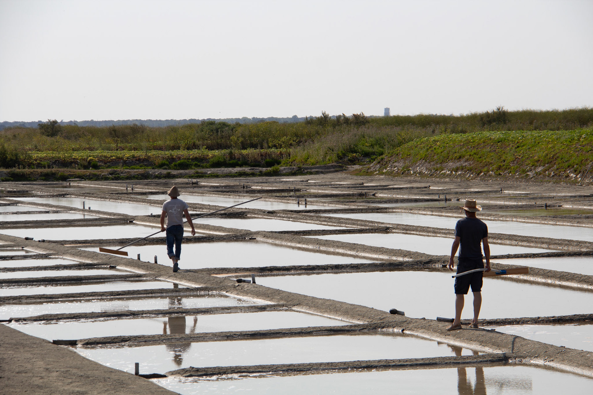 Tout travail mérite salaire - 1/400s - f/8 - ISO 100