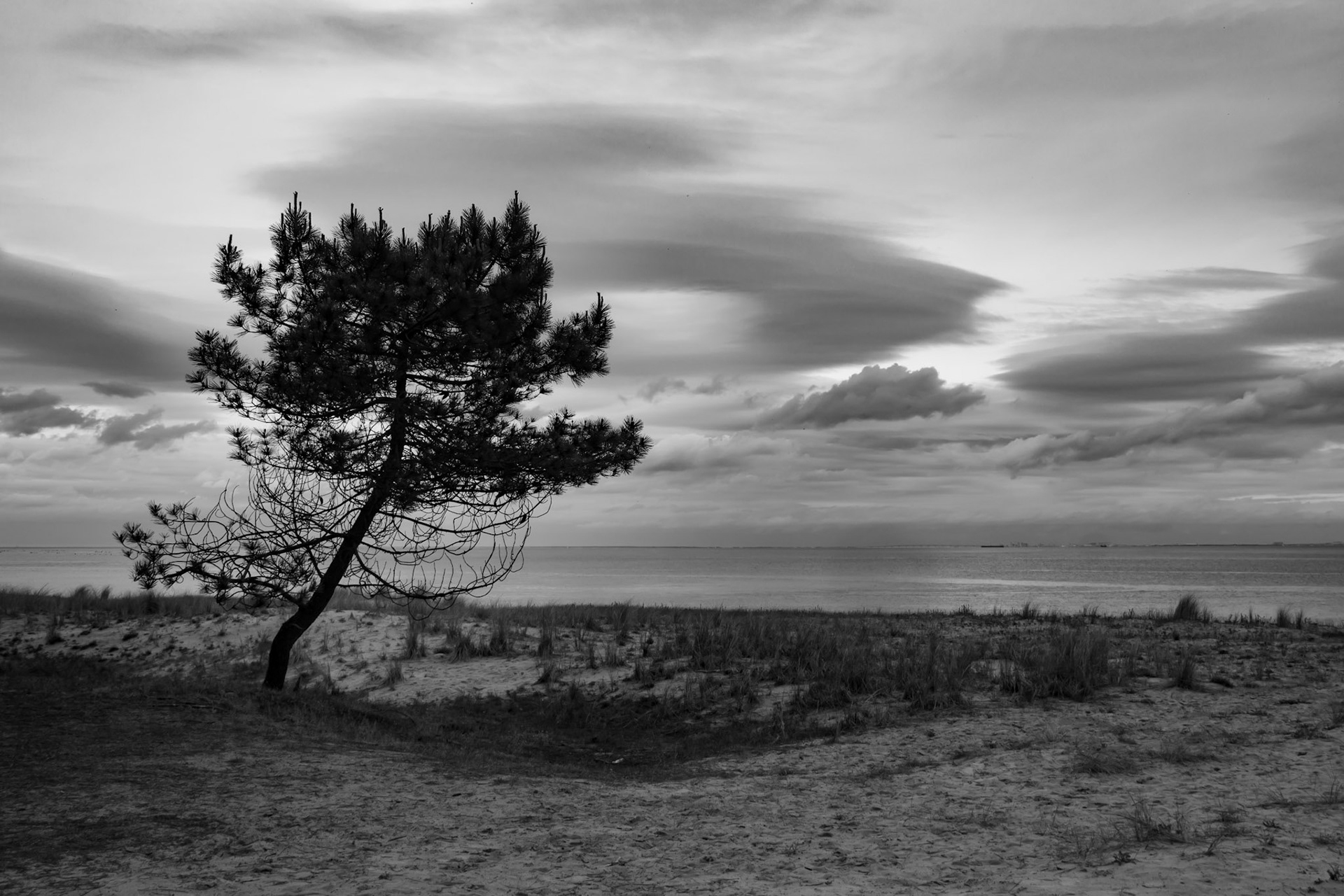 Seul #1 - 1/400s - f/8 - ISO 100