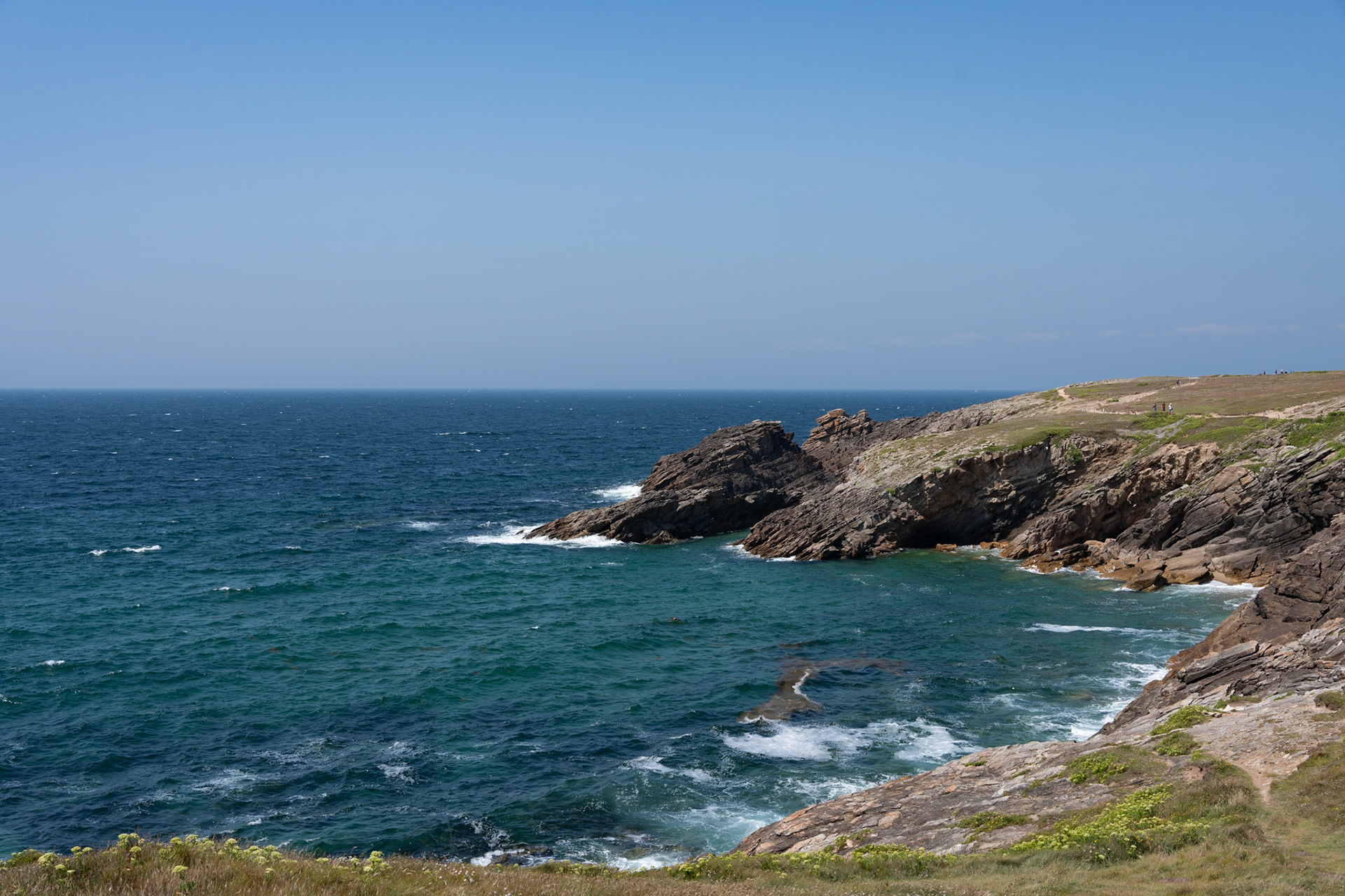 Côté sauvage - 1/320s - f/8 - ISO 100