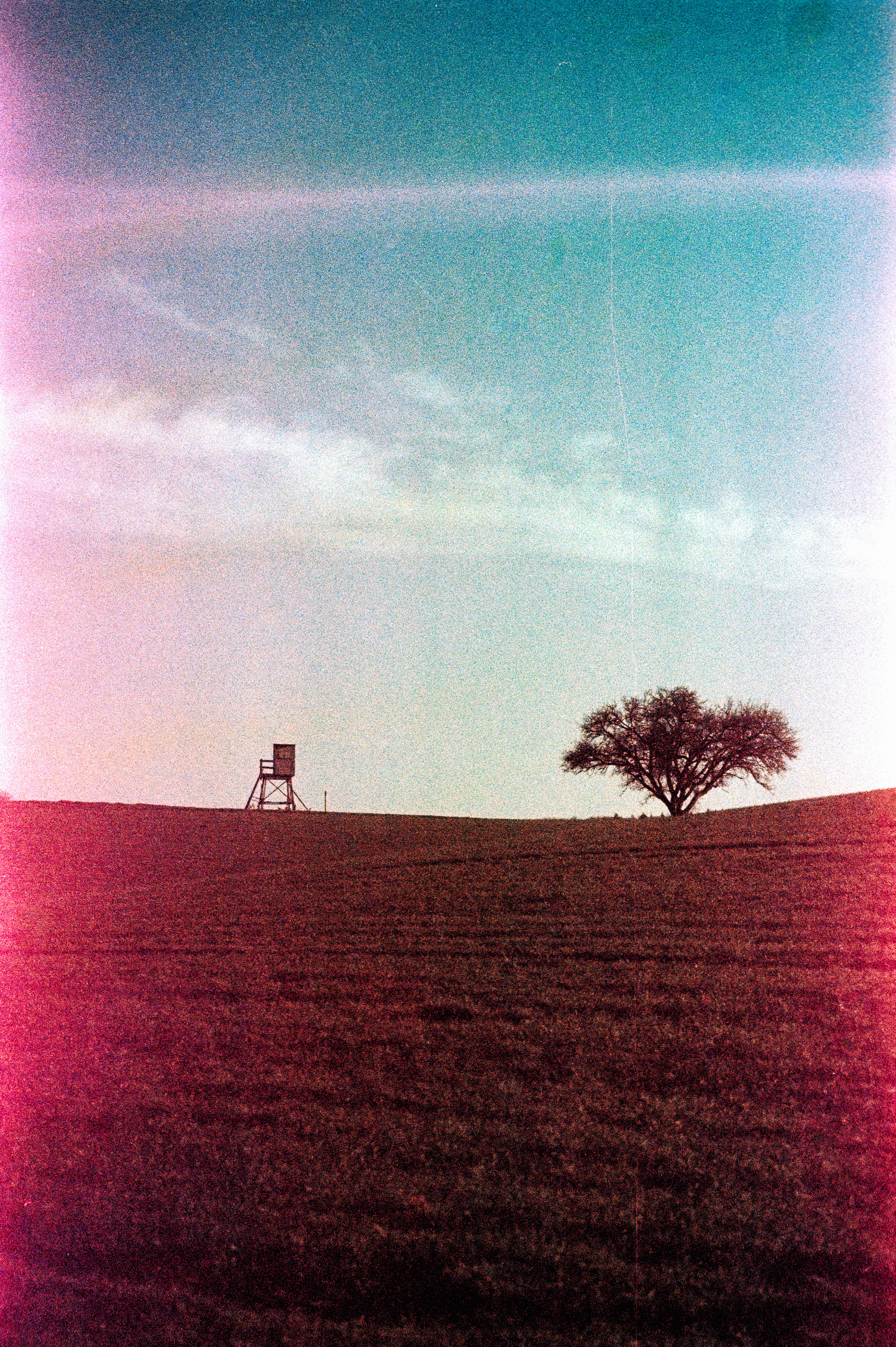 Kodak VR Plus 400 expired in 2007