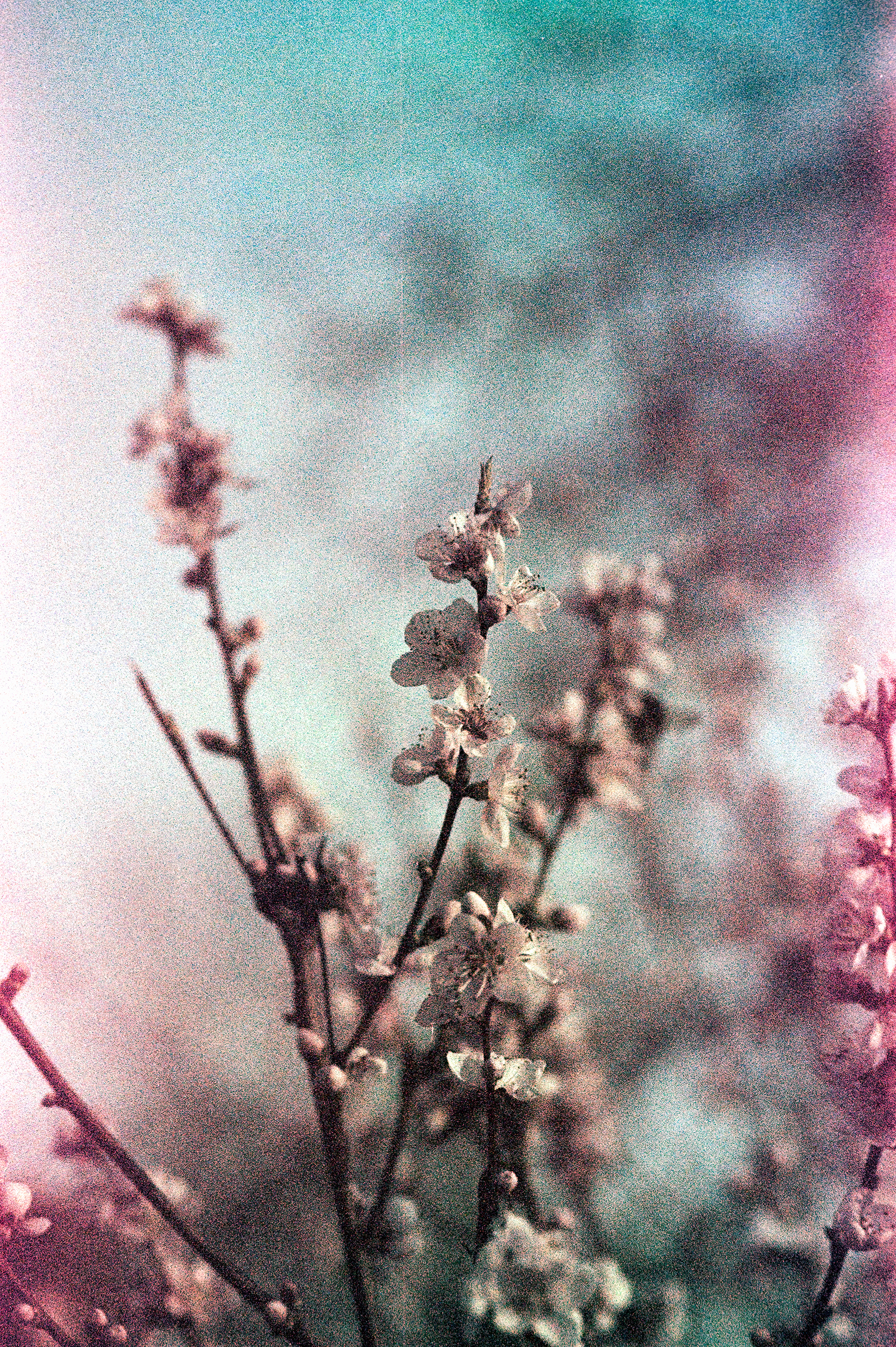 Kodak VR Plus 400 expired in 2007
