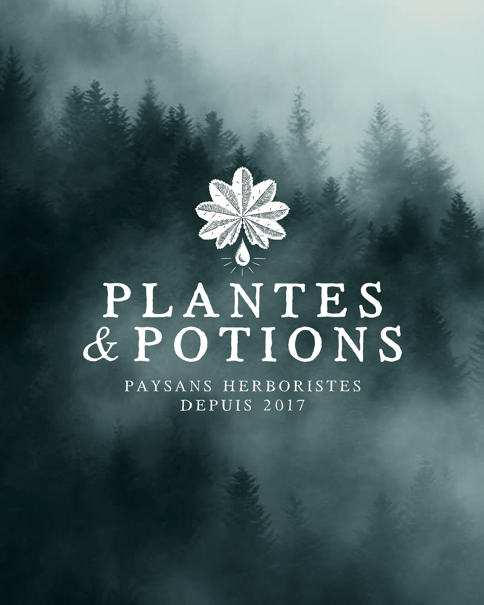 Création logo Plantes et Potions “Paysans Herboristes”