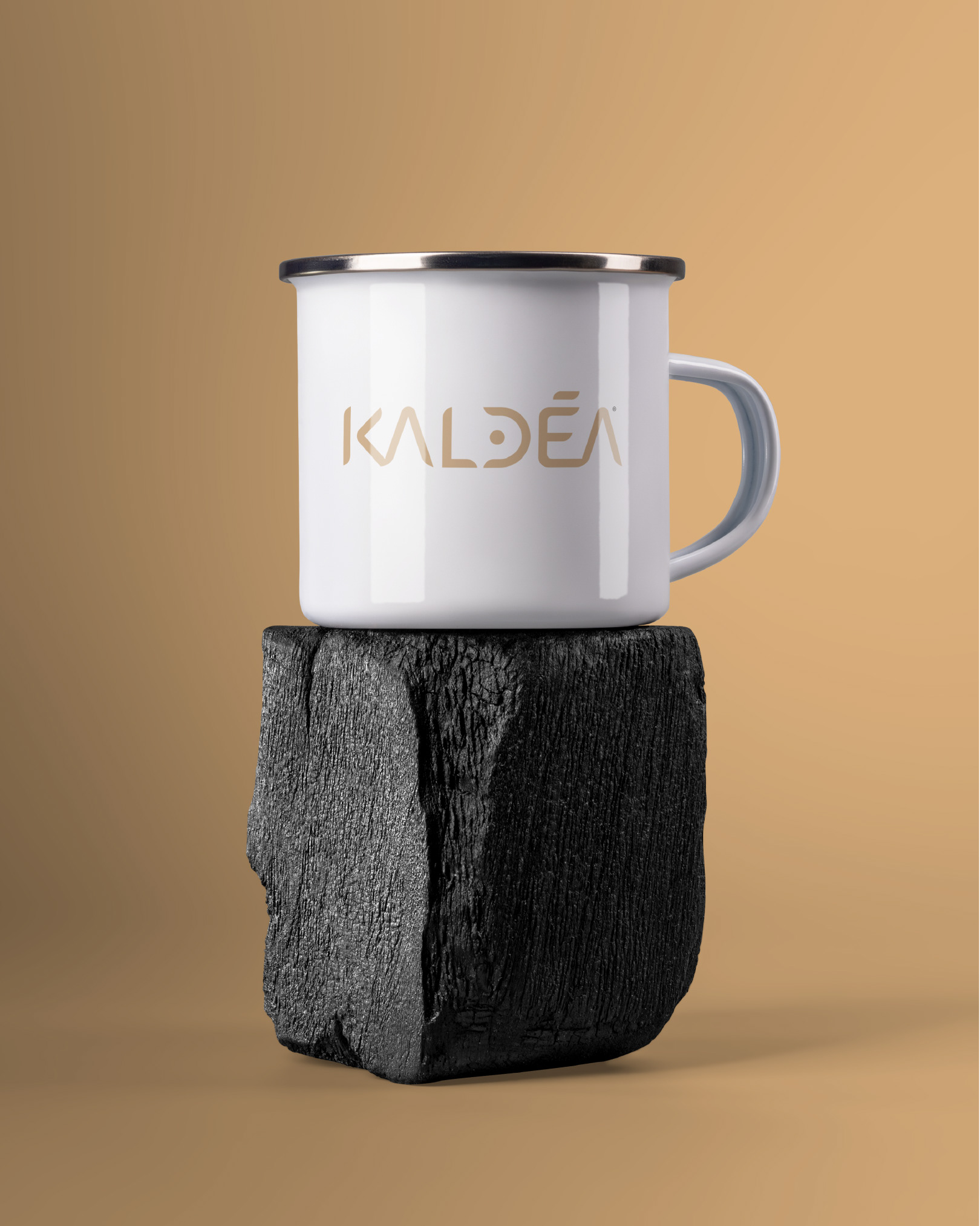 Habillage et création du logo et de la charte Kaldéa
