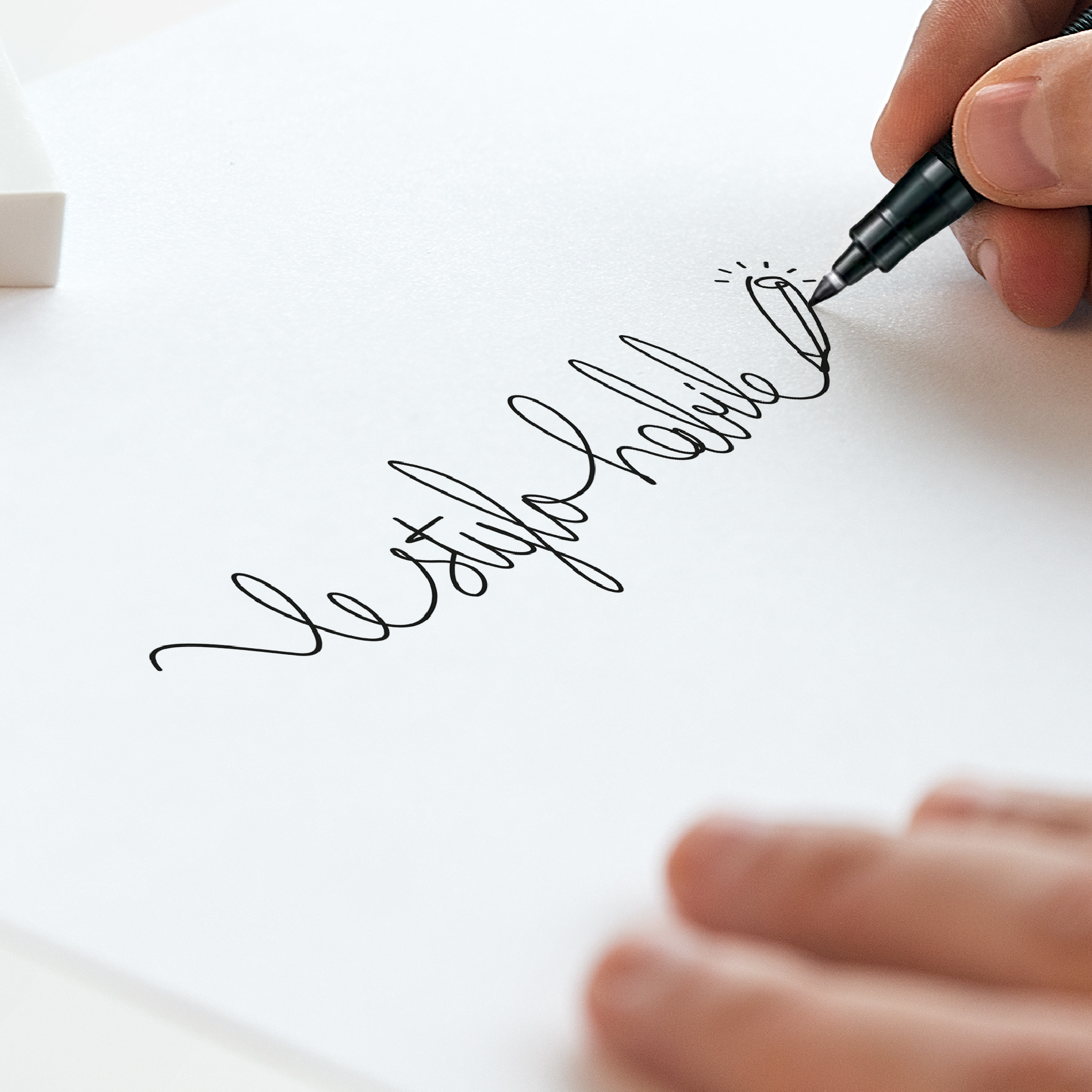 Création du typographie du logo Le Stylo Habile ©Olivier Cochard Le graphiste Sauvage