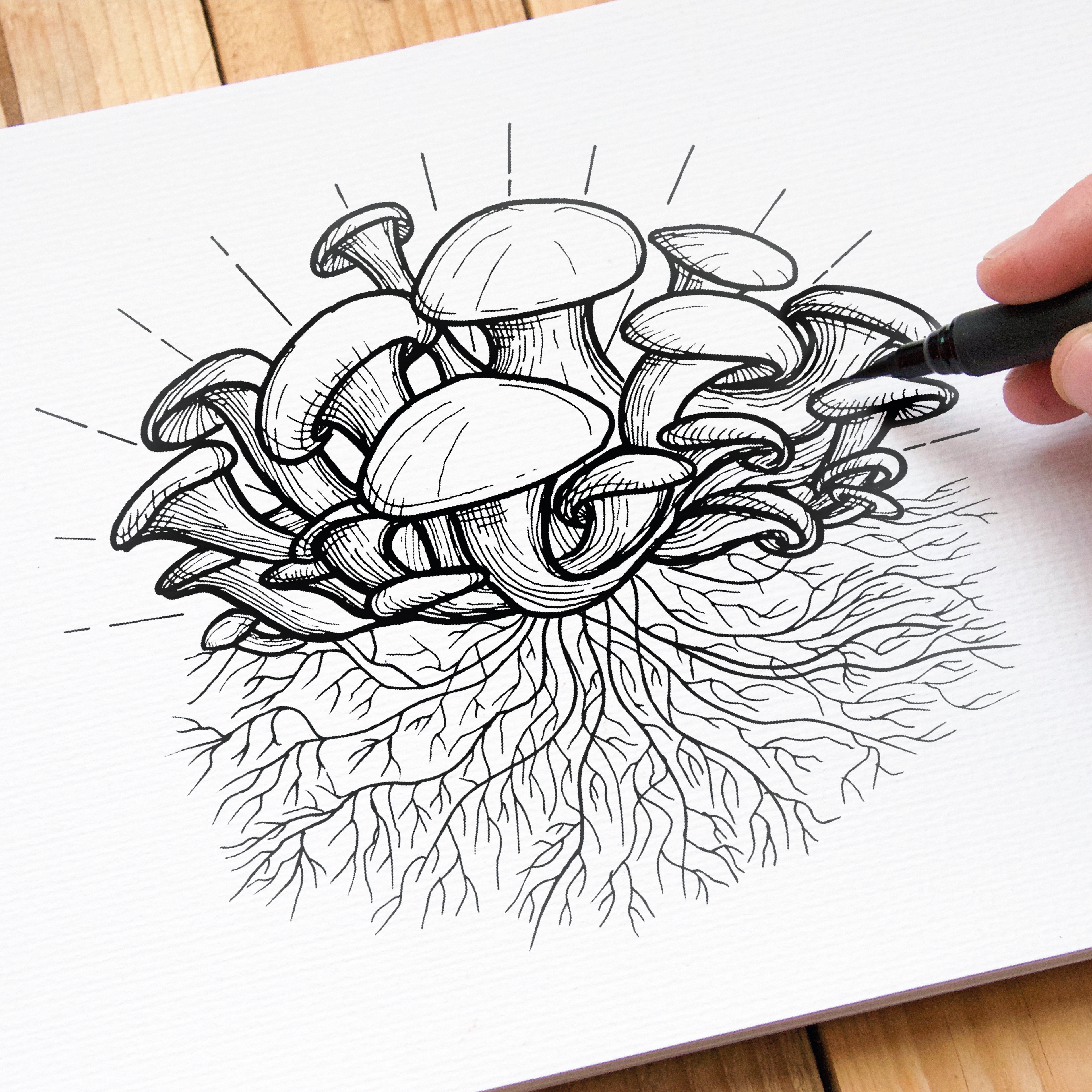 Dessin Champi'loffie olivier cochard Le Graphiste Sauvage