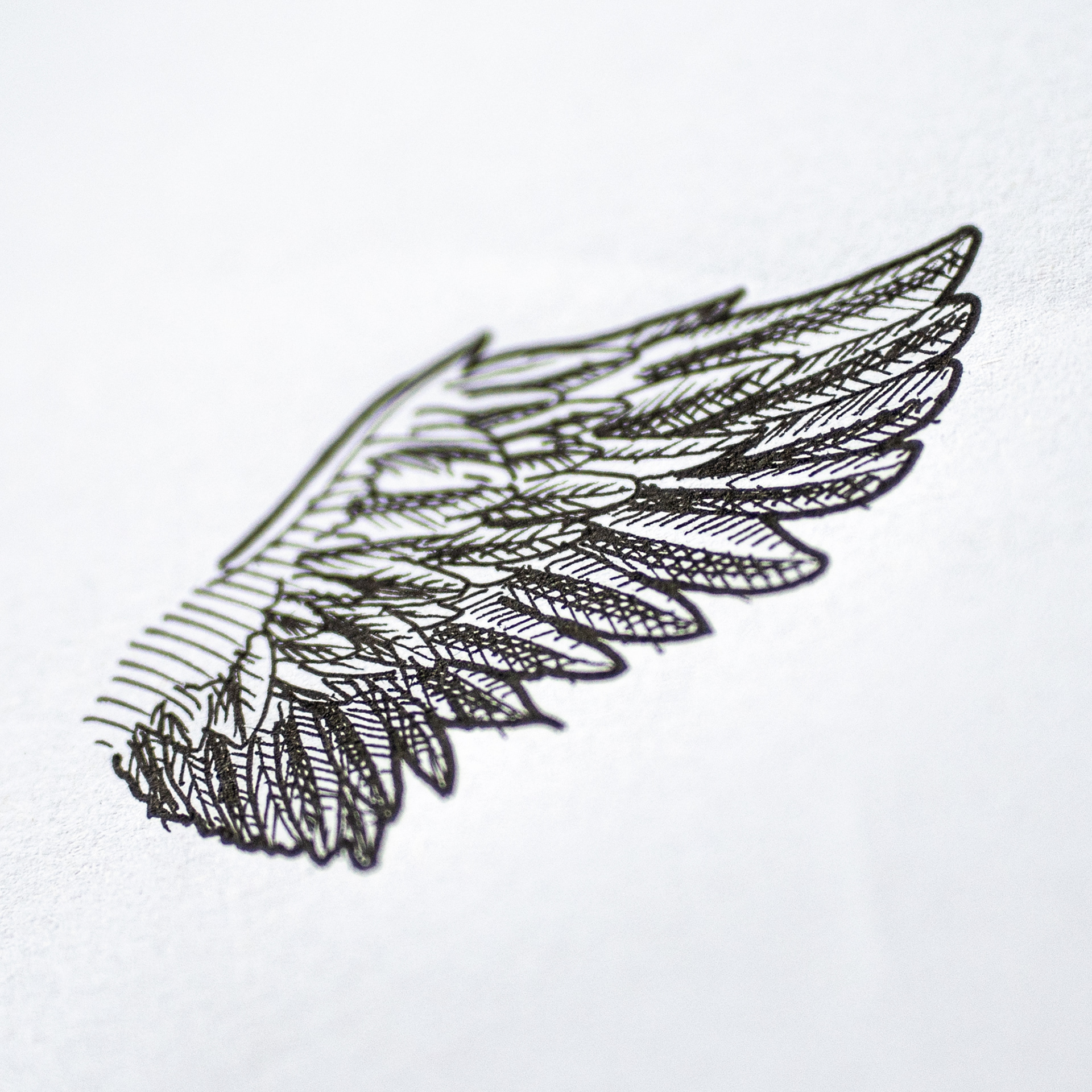 Détail d'une aile dessinée pour le logo sur tablier pour le bar ambulant “La part des anges” Croquis logo ©Olivier Cochard “Le Graphiste Sauvage”