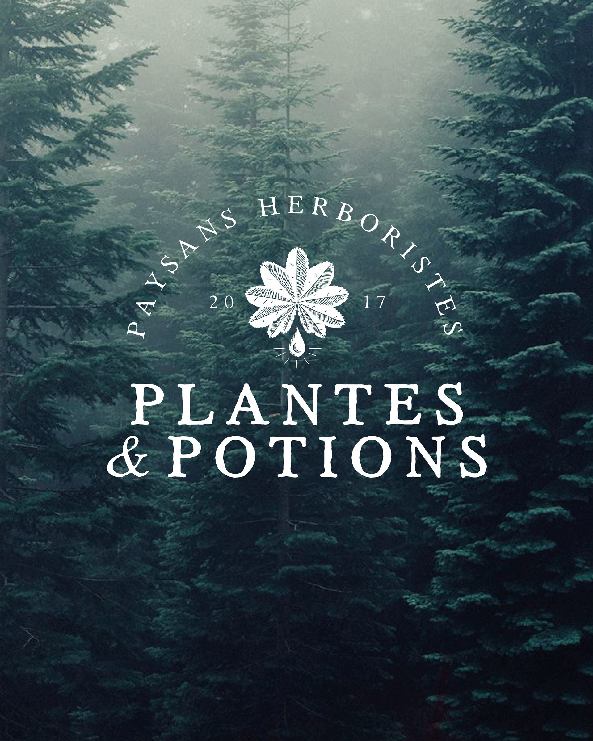 Création logo Plantes et Potions “Paysans Herboristes”