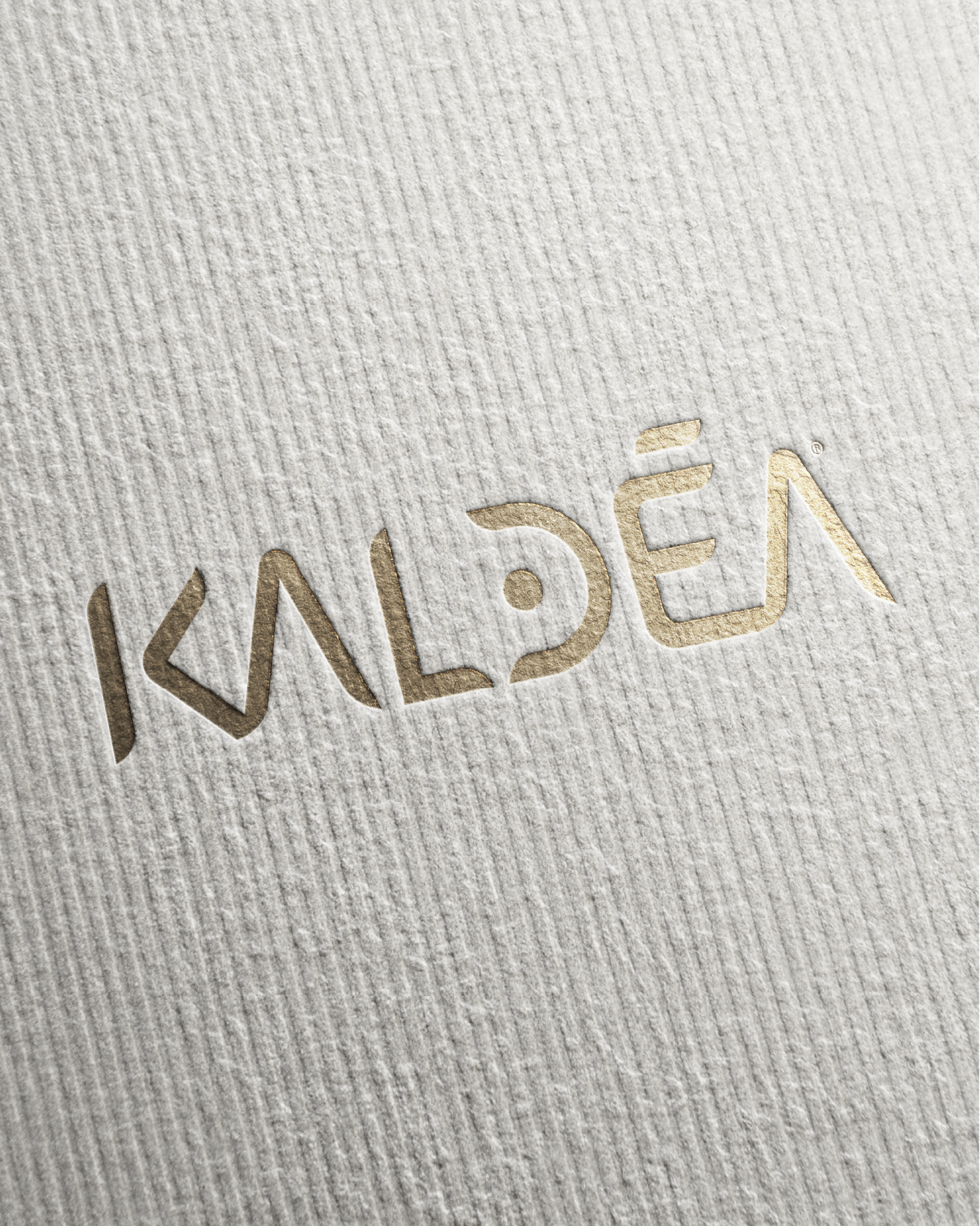 Création du logo Kaldéa
