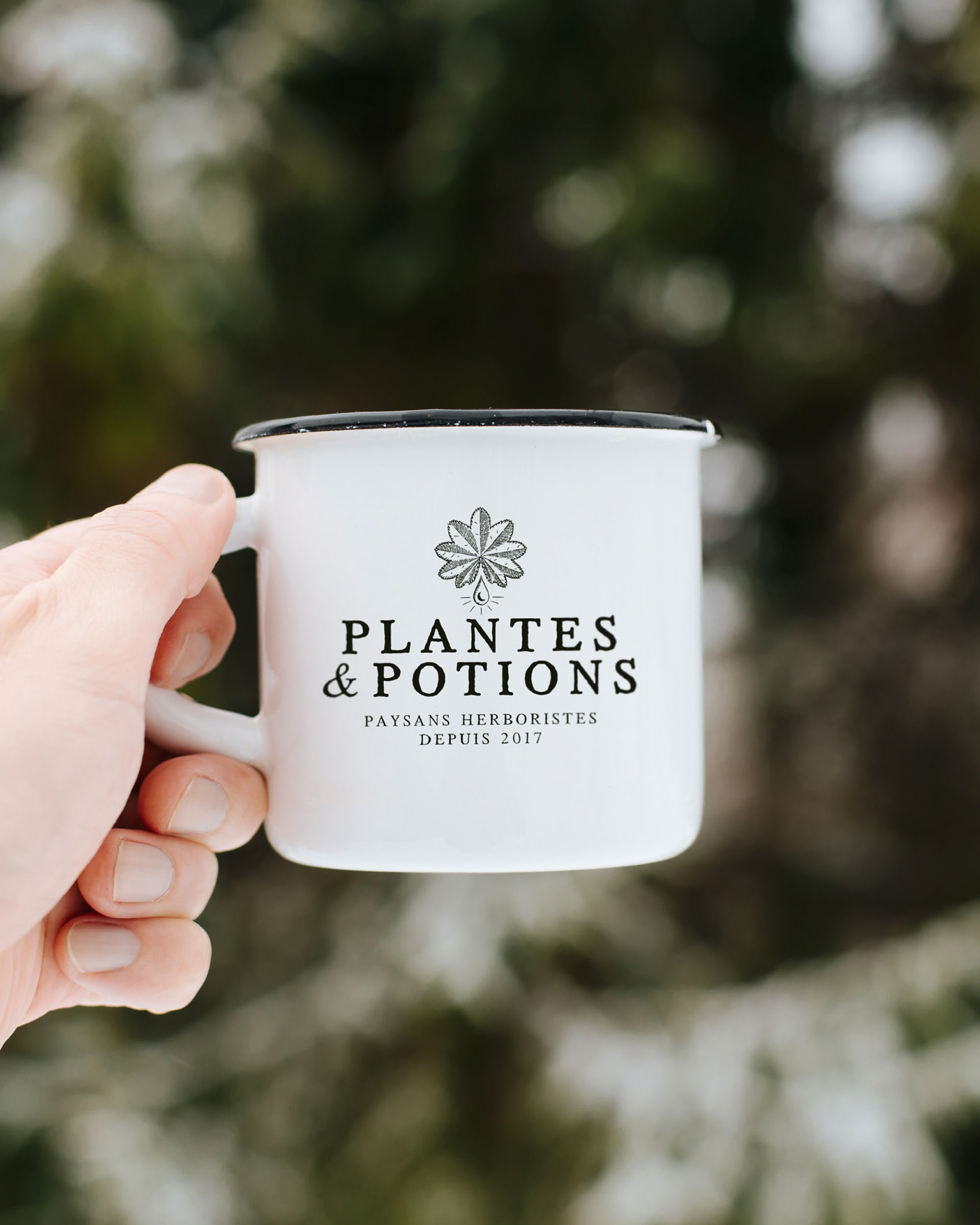 Création Logo Plantes et Potions “Paysans Herboristes”