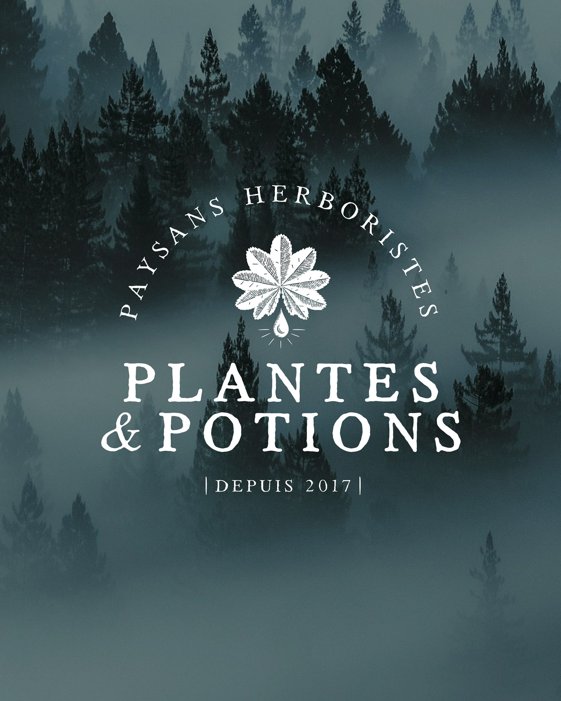 Création logo Plantes et Potions “Paysans Herboristes”