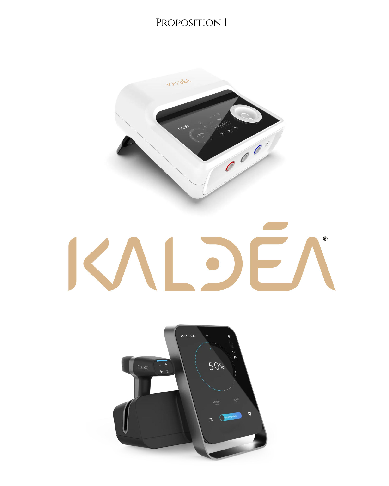 Création du logo Kaldéa