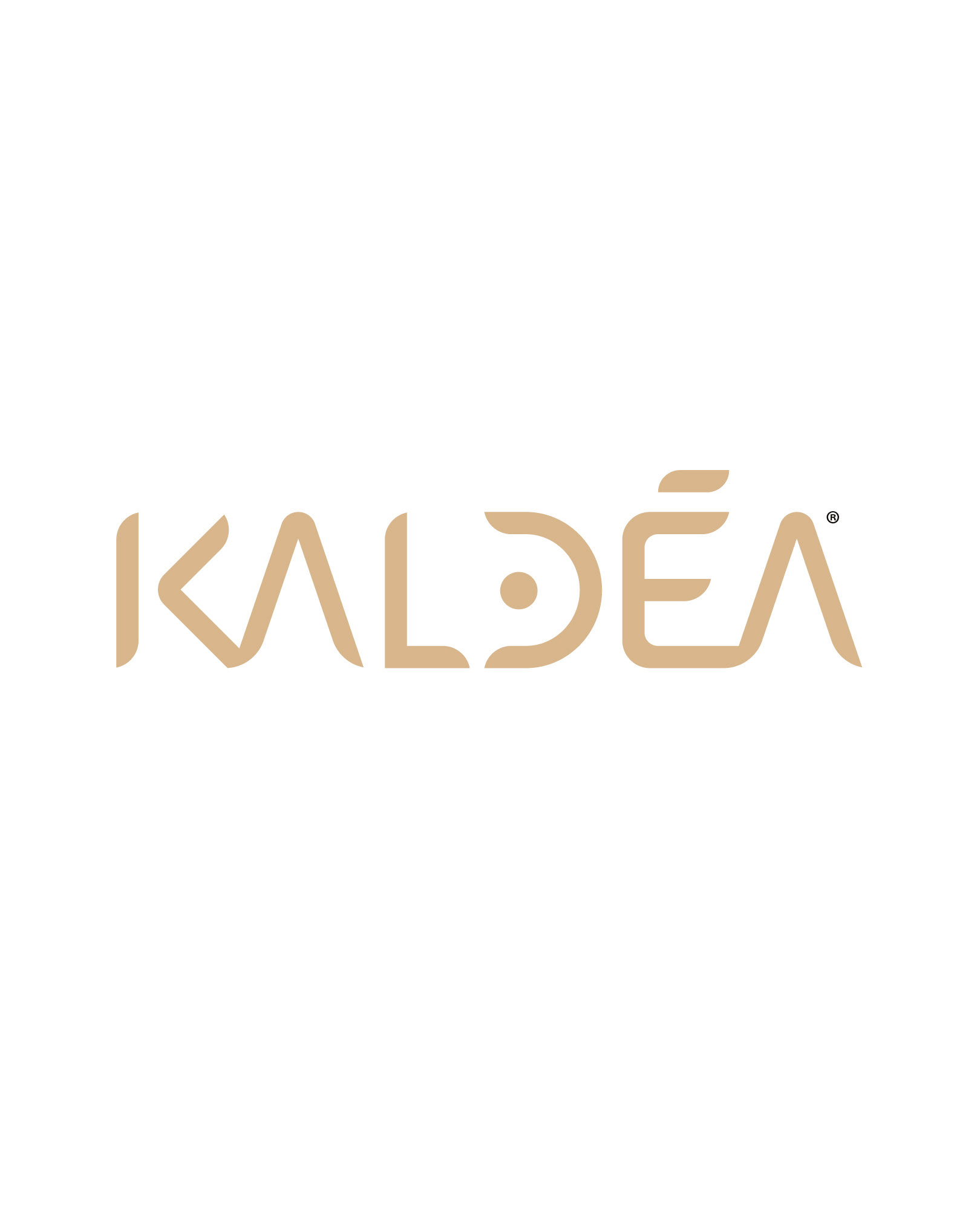 Création du logo Kaldéa