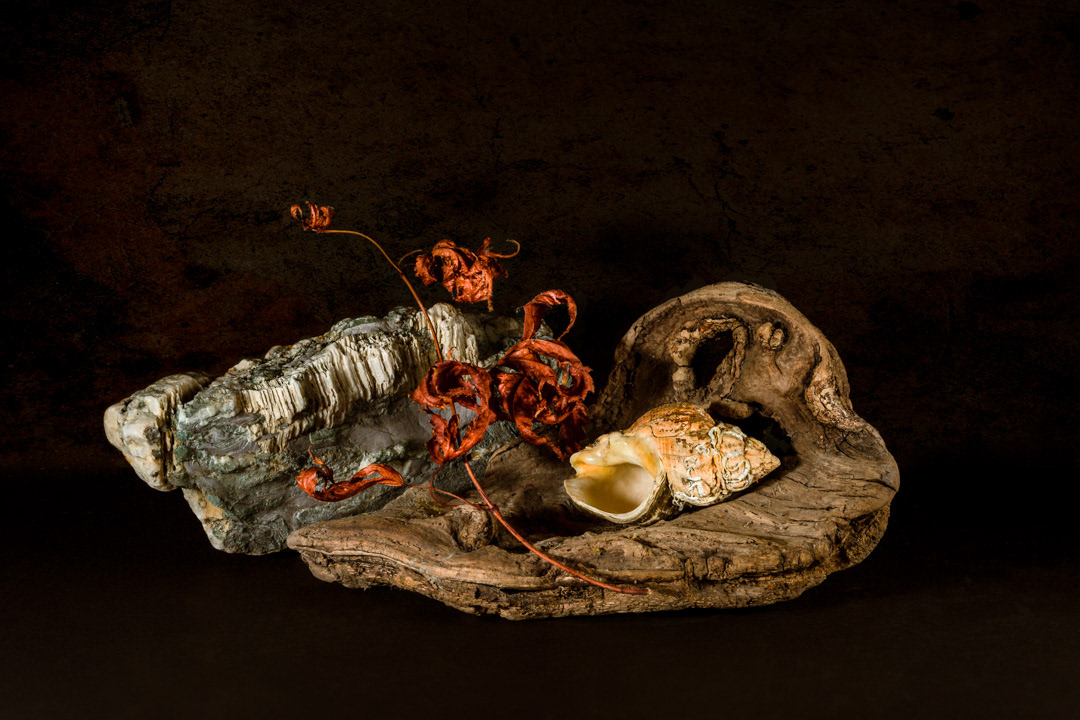 Animal Vegetable Mineral 1