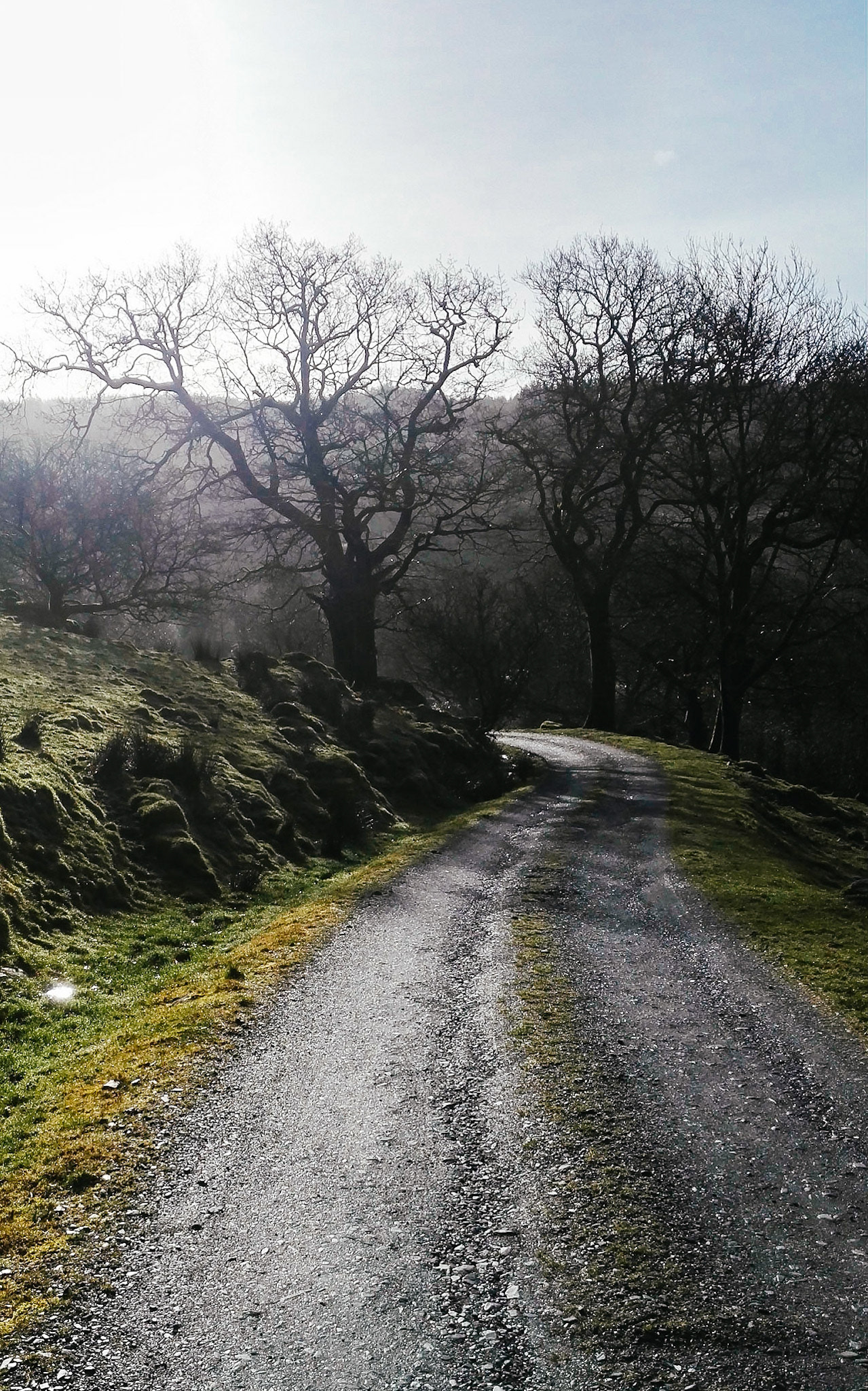 The road lead us towards our friends