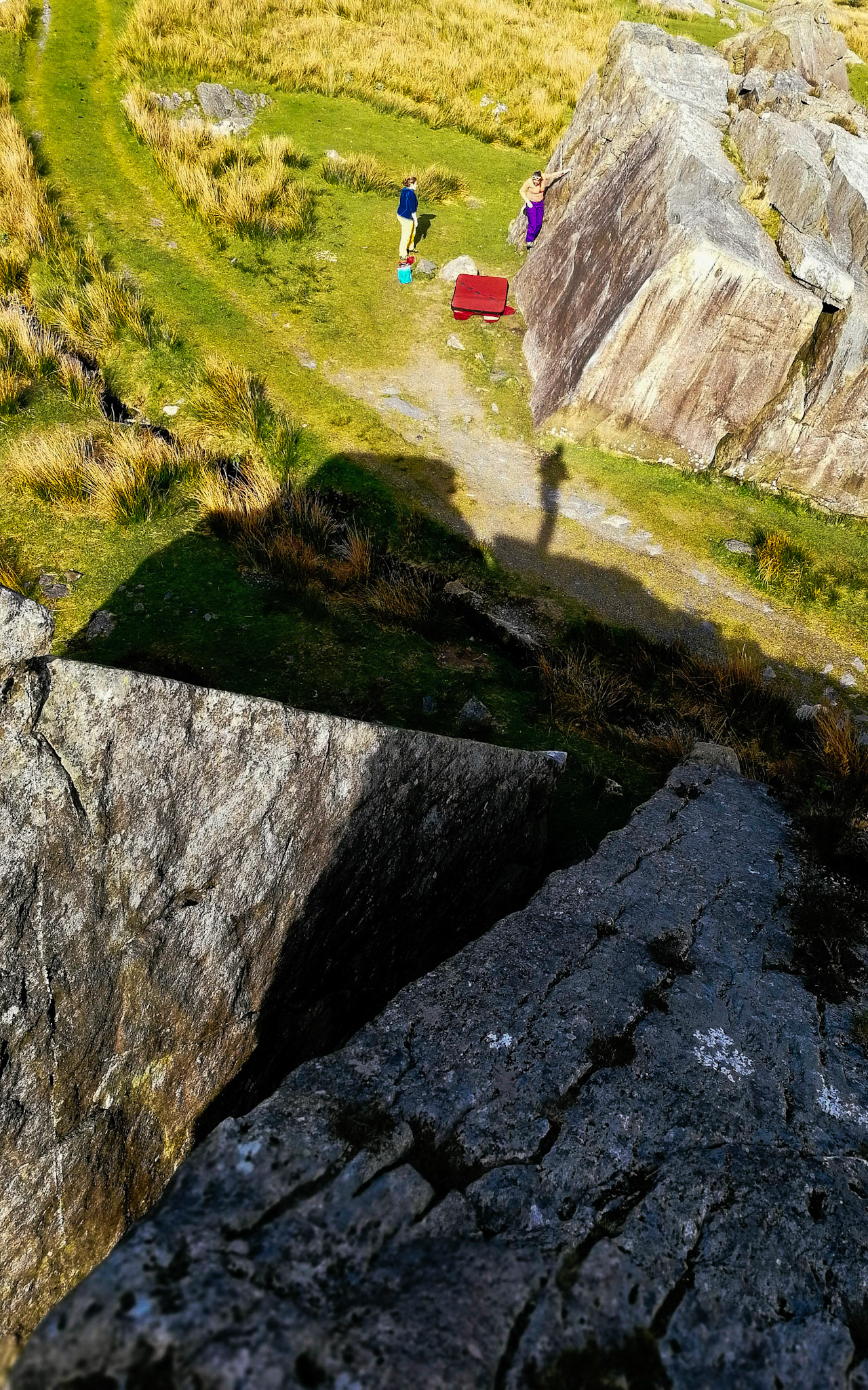 Habiting the rocks
