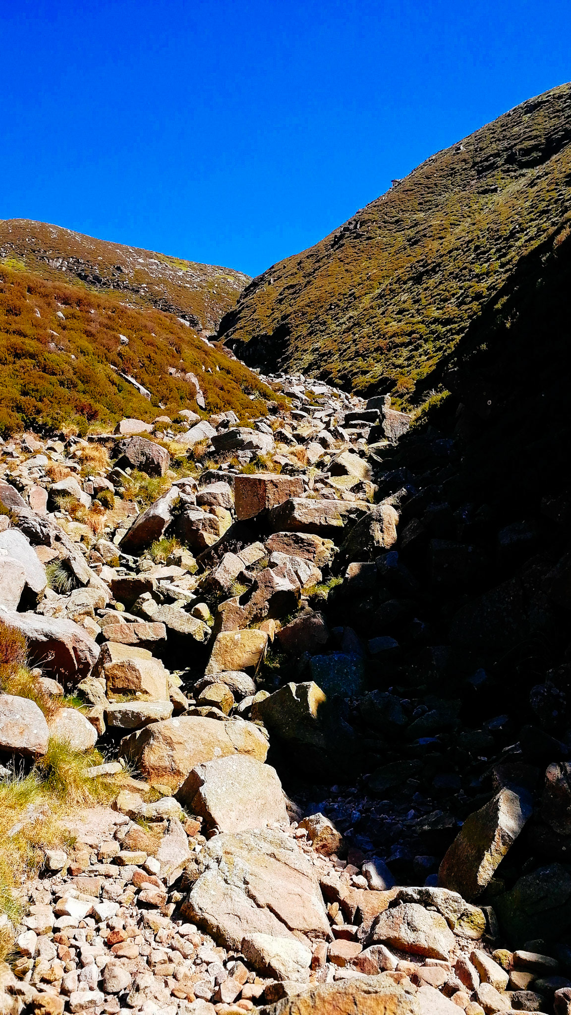 Wildboar Clough