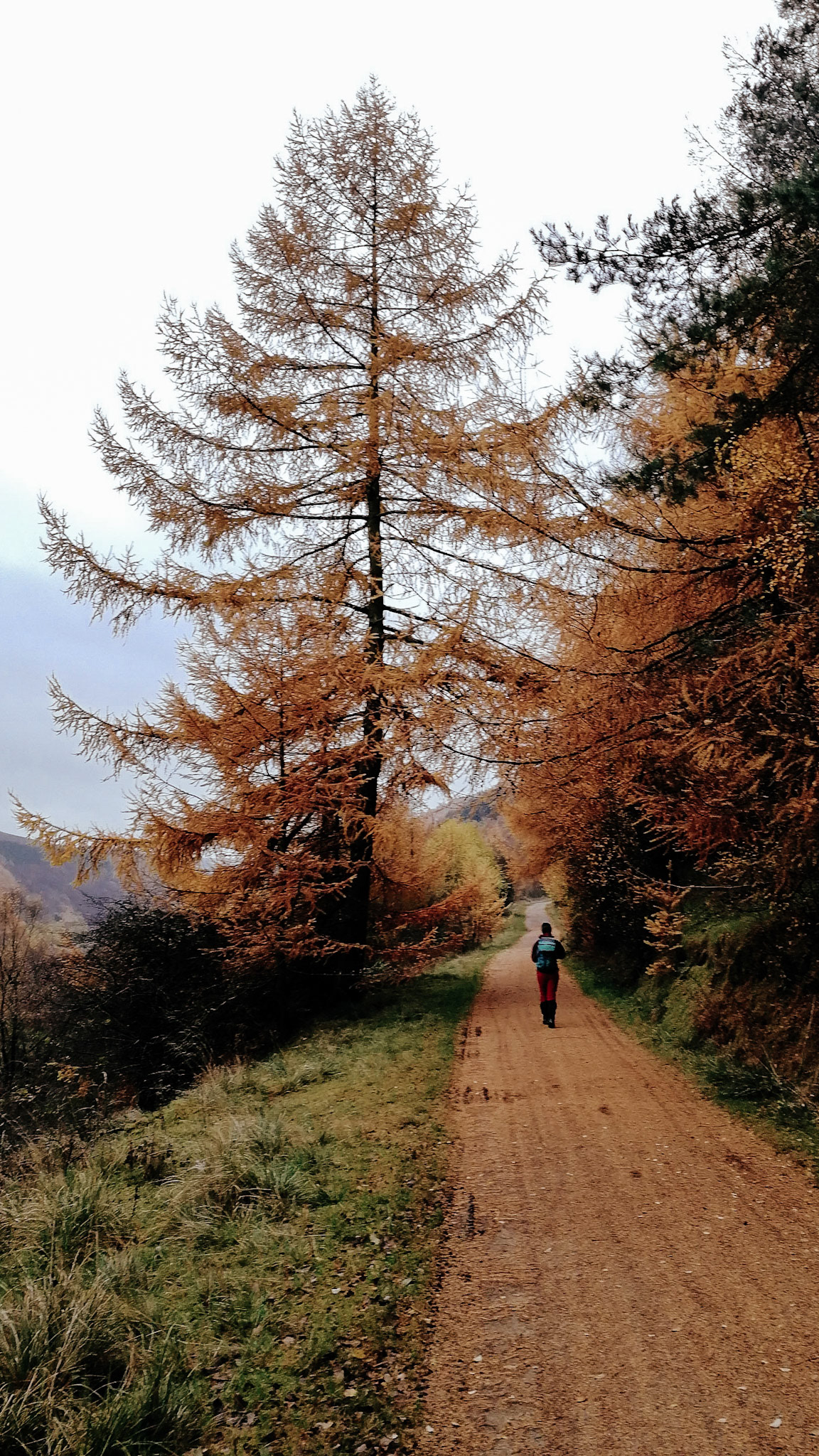 Autumn mood