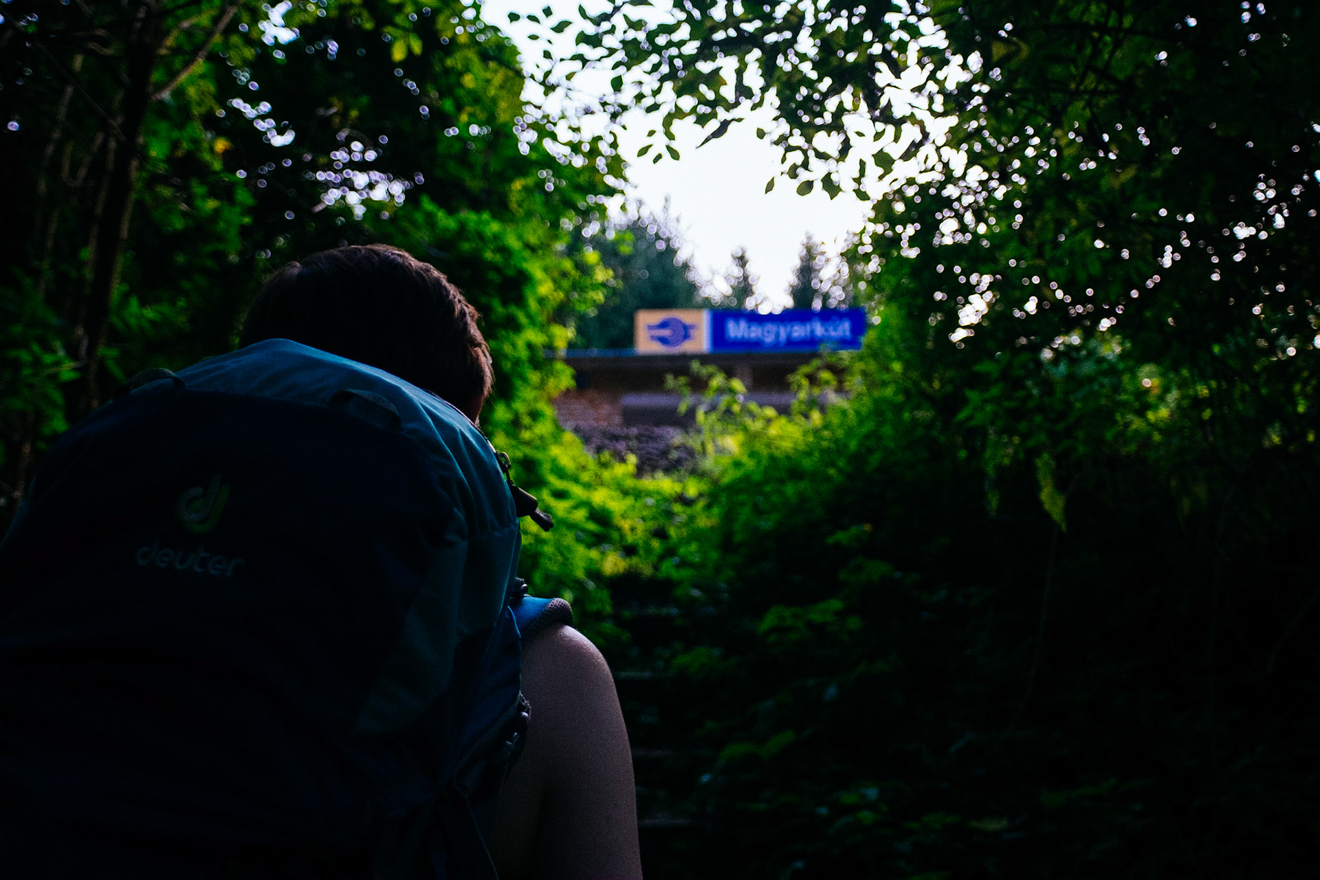A place to hide up in the woodlands of Börzsöny hills