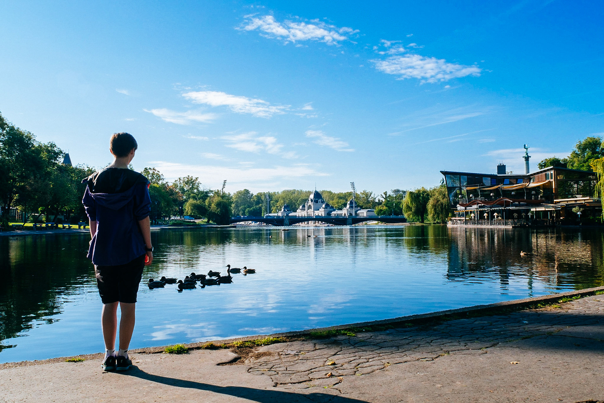 Ducking by the rowing lake - City park