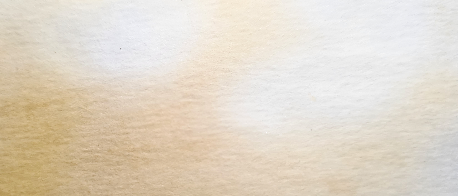 Watercolor paper soaked in tea and toasted to achieve the texture