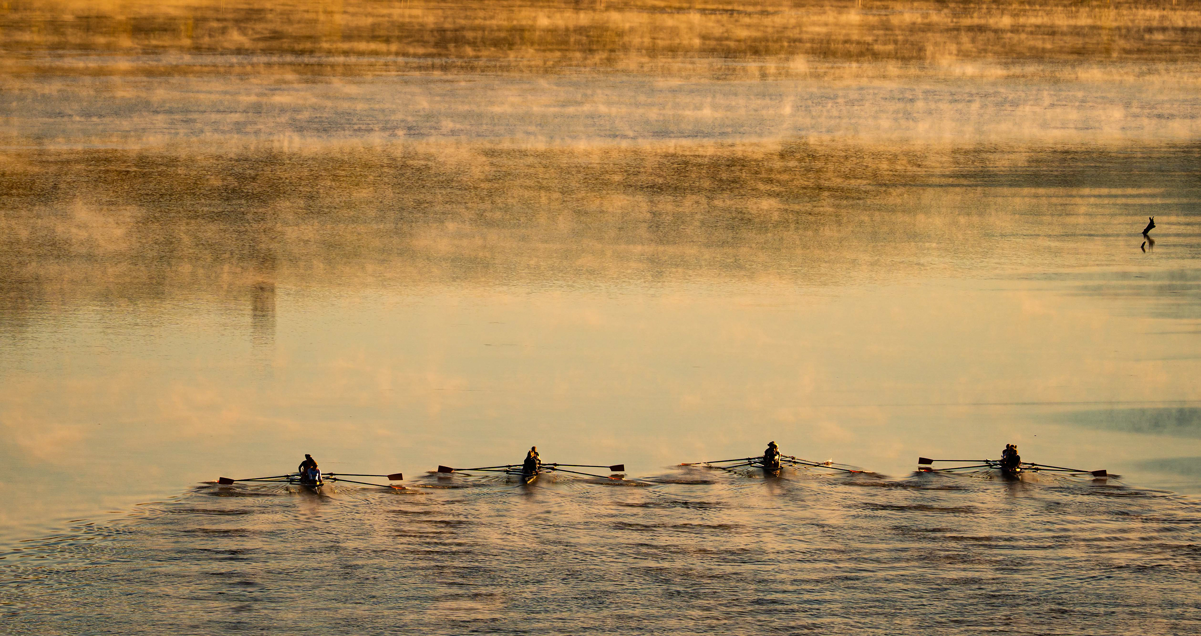The Tennessee Rowing Team practices on the Tennessee River in Knoxville, Tenn., Monday, Oct. 19, 2026.