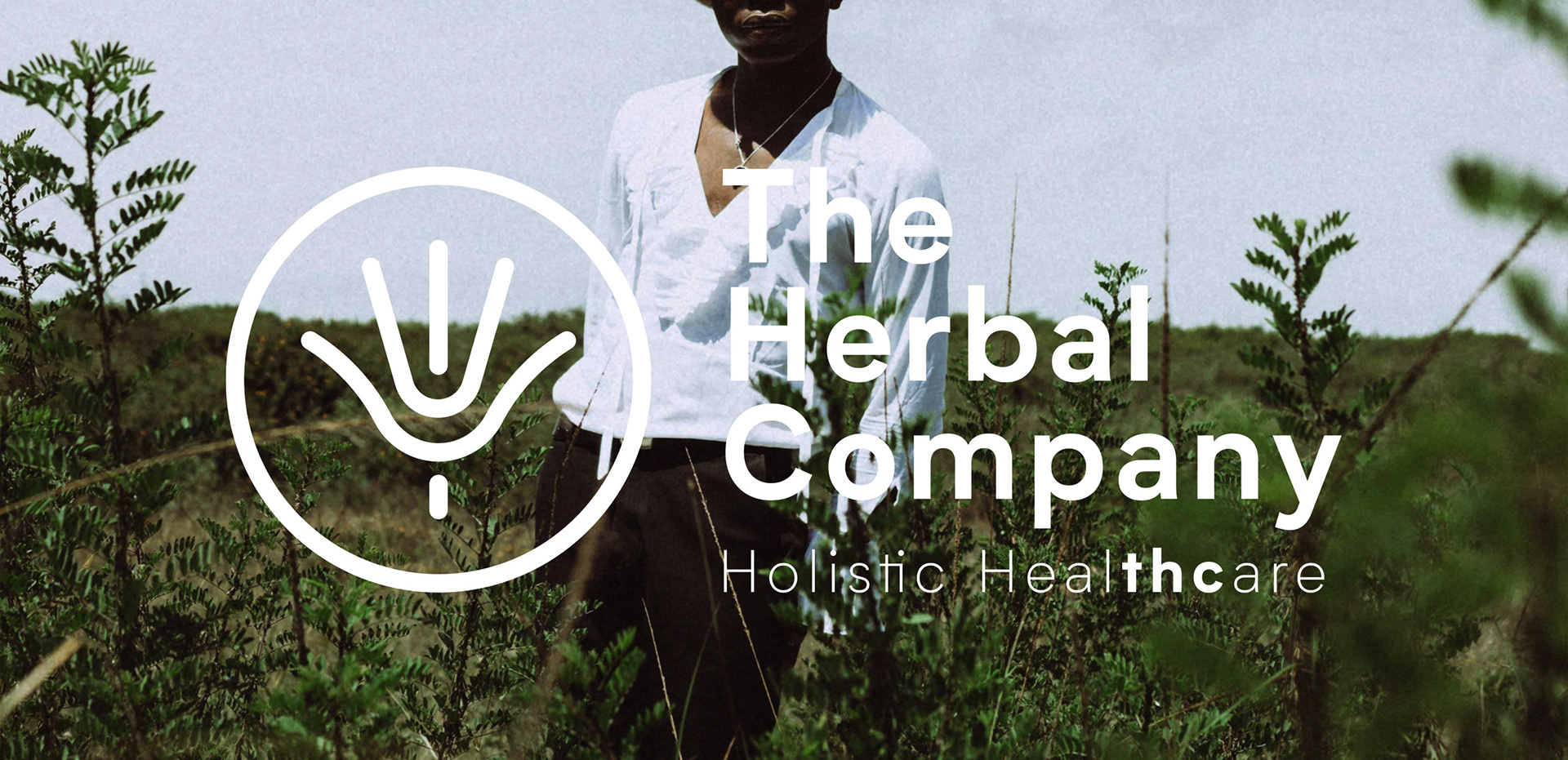 Full branding package for the herbal company brand – logo, typography, and color palette
