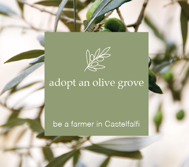 NEW LOGOTYPE AND BRAND IDENTITY