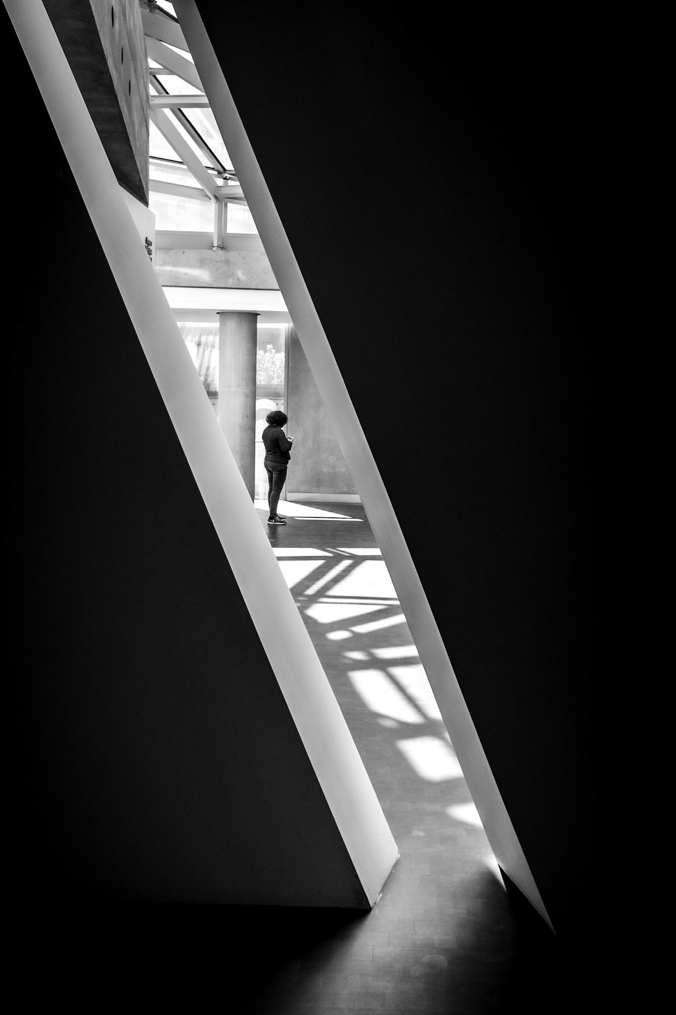 Cross Lines