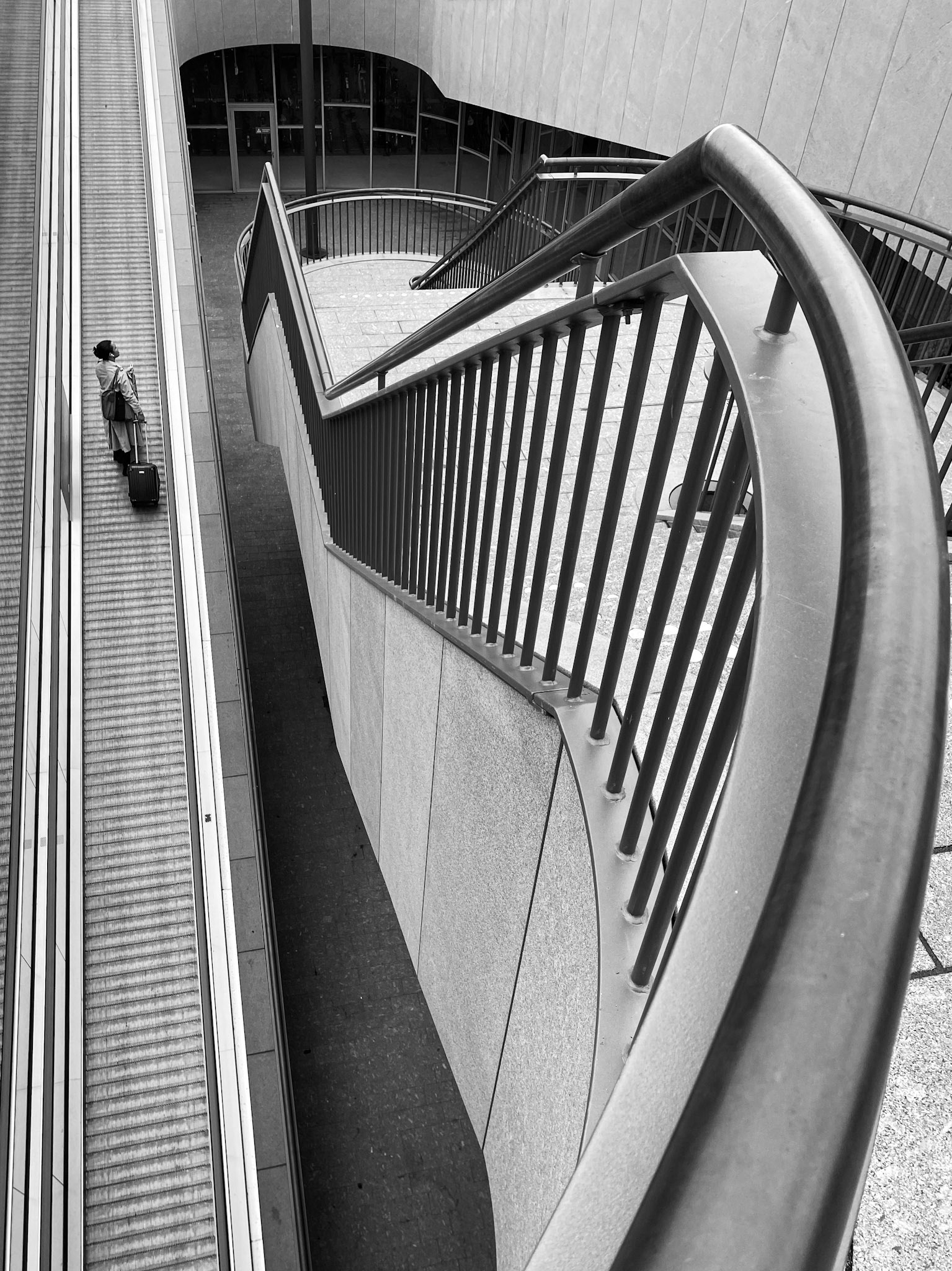 Harp