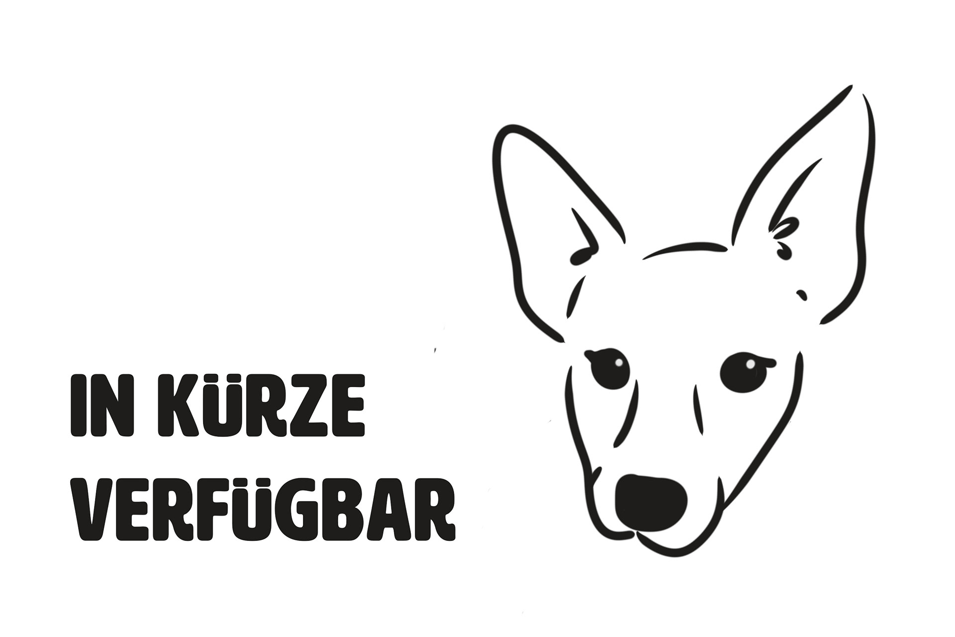 Bild in kürze Verfügbar