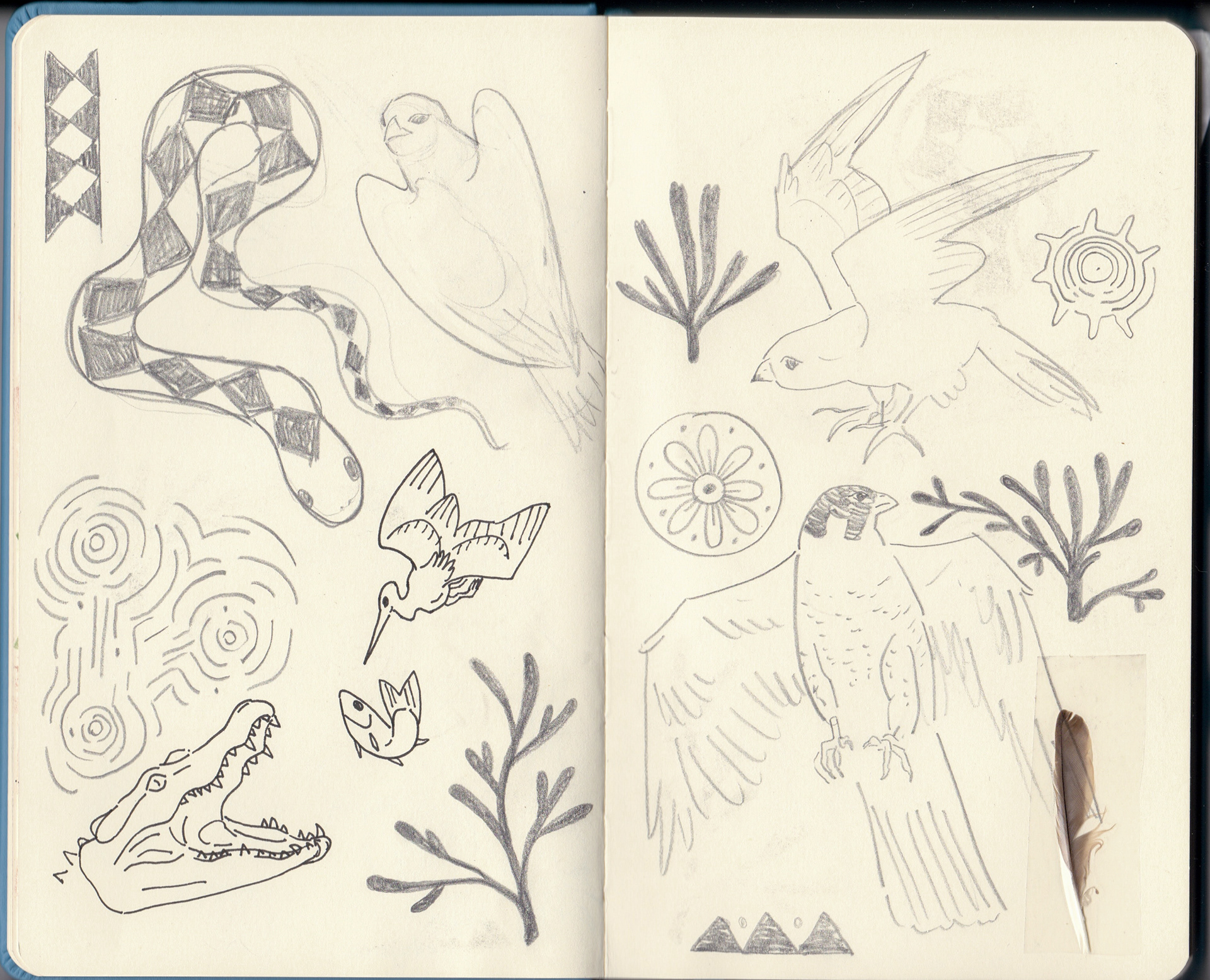 pencil, pen, taped-in feather